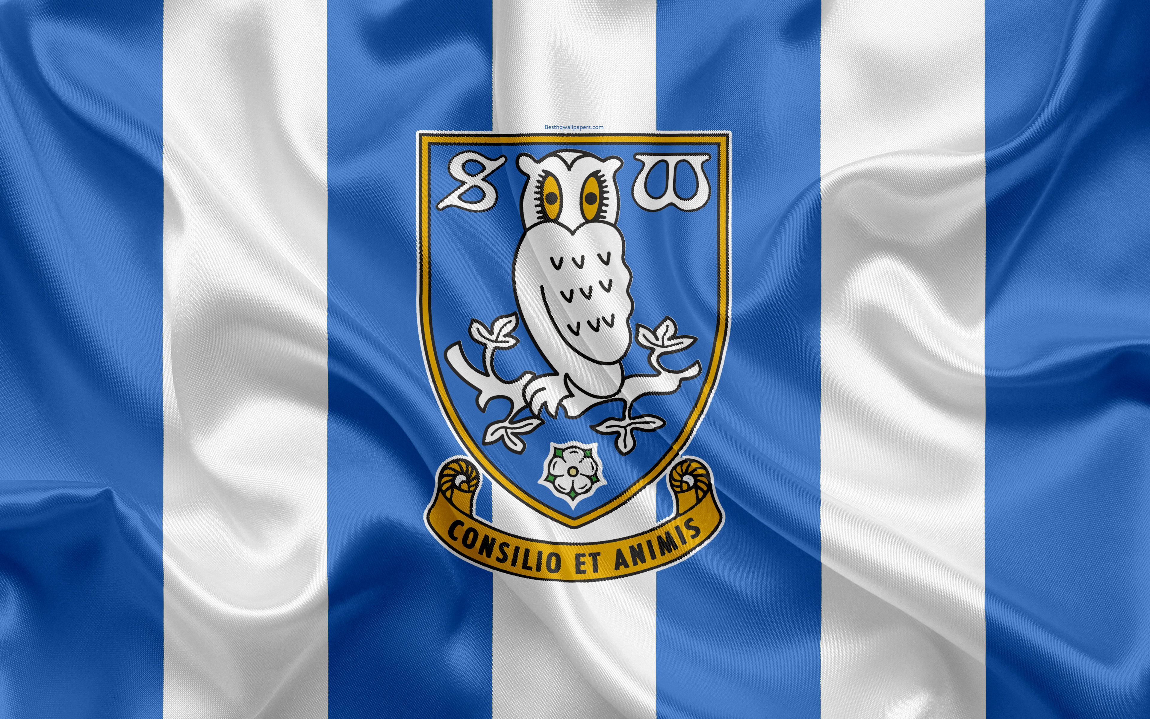 Sheffield Wednesday Wallpapers - Wallpaper Cave