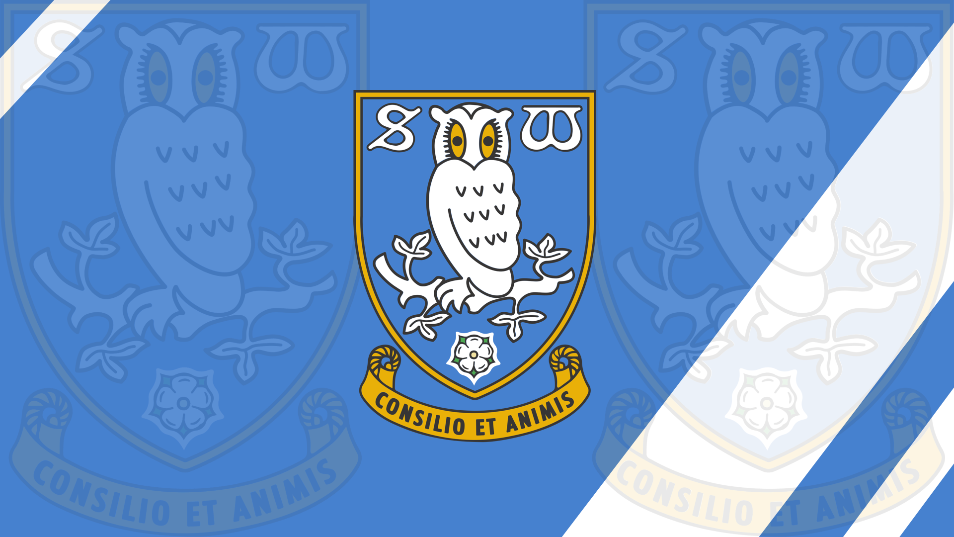 Available for Tablet, Computer and Laptop. Sheffield wednesday