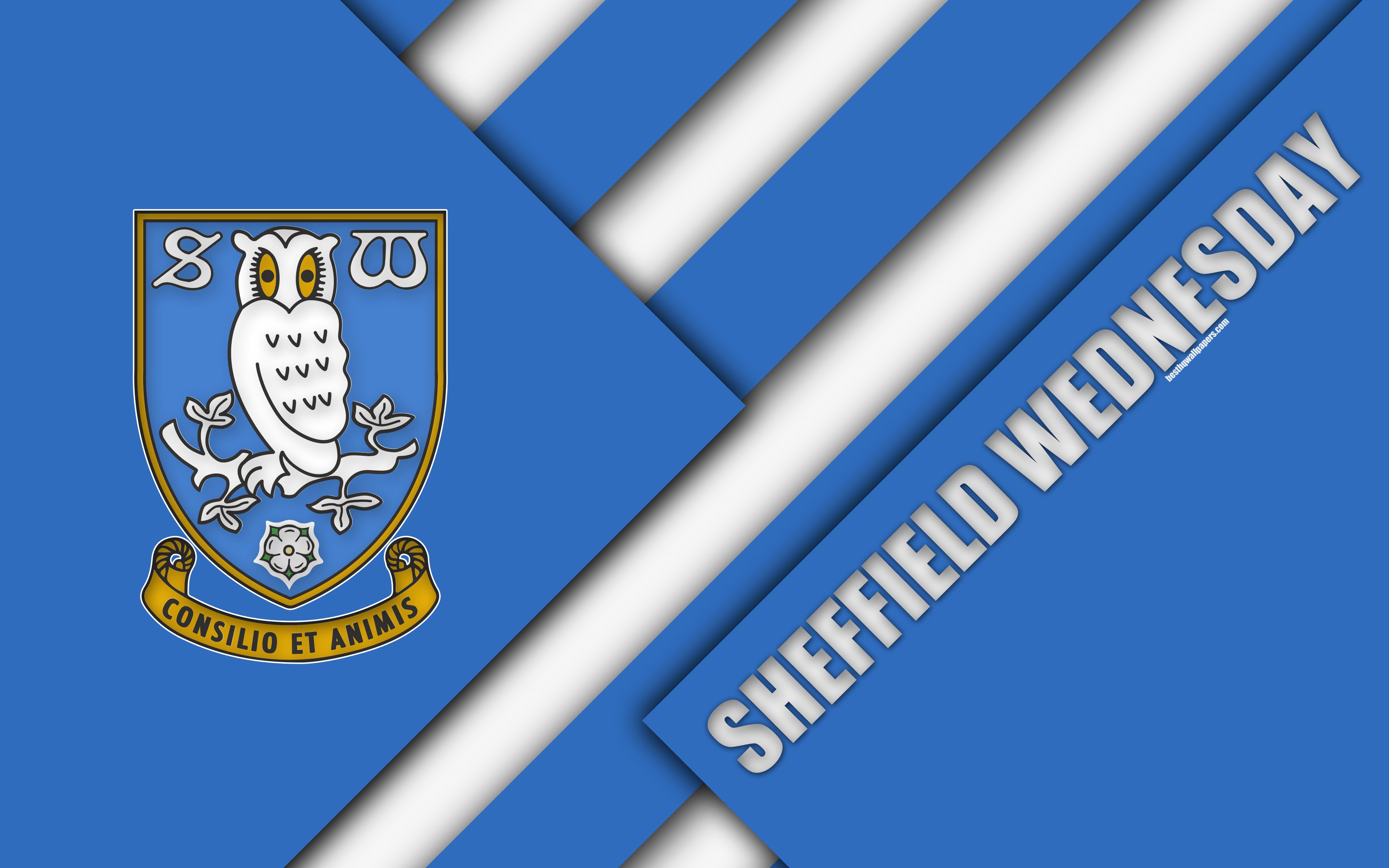 Download wallpaper Sheffield Wednesday FC, logo, 4k, blue white