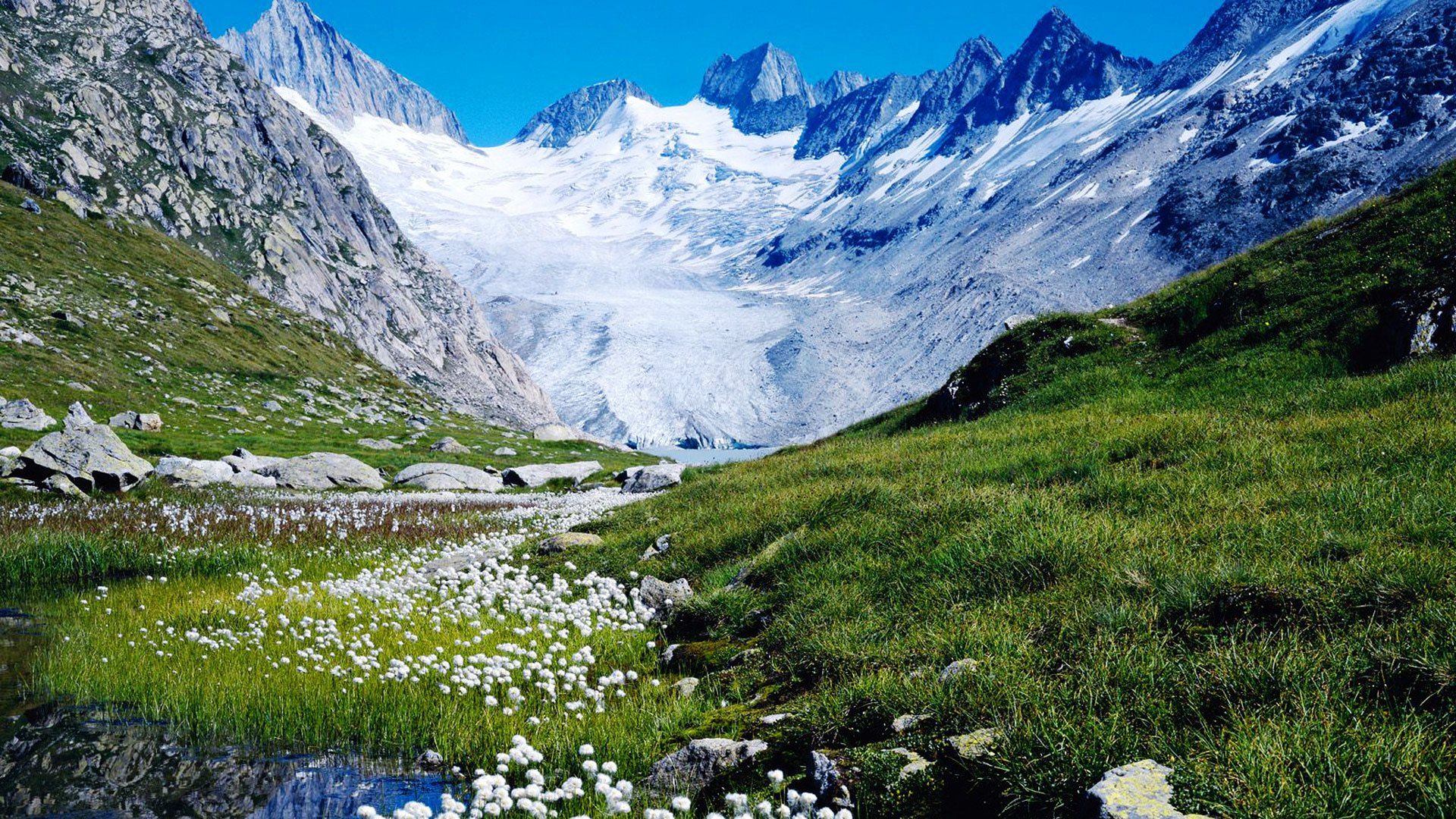 Swiss Wallpaper. Swiss Army Knife