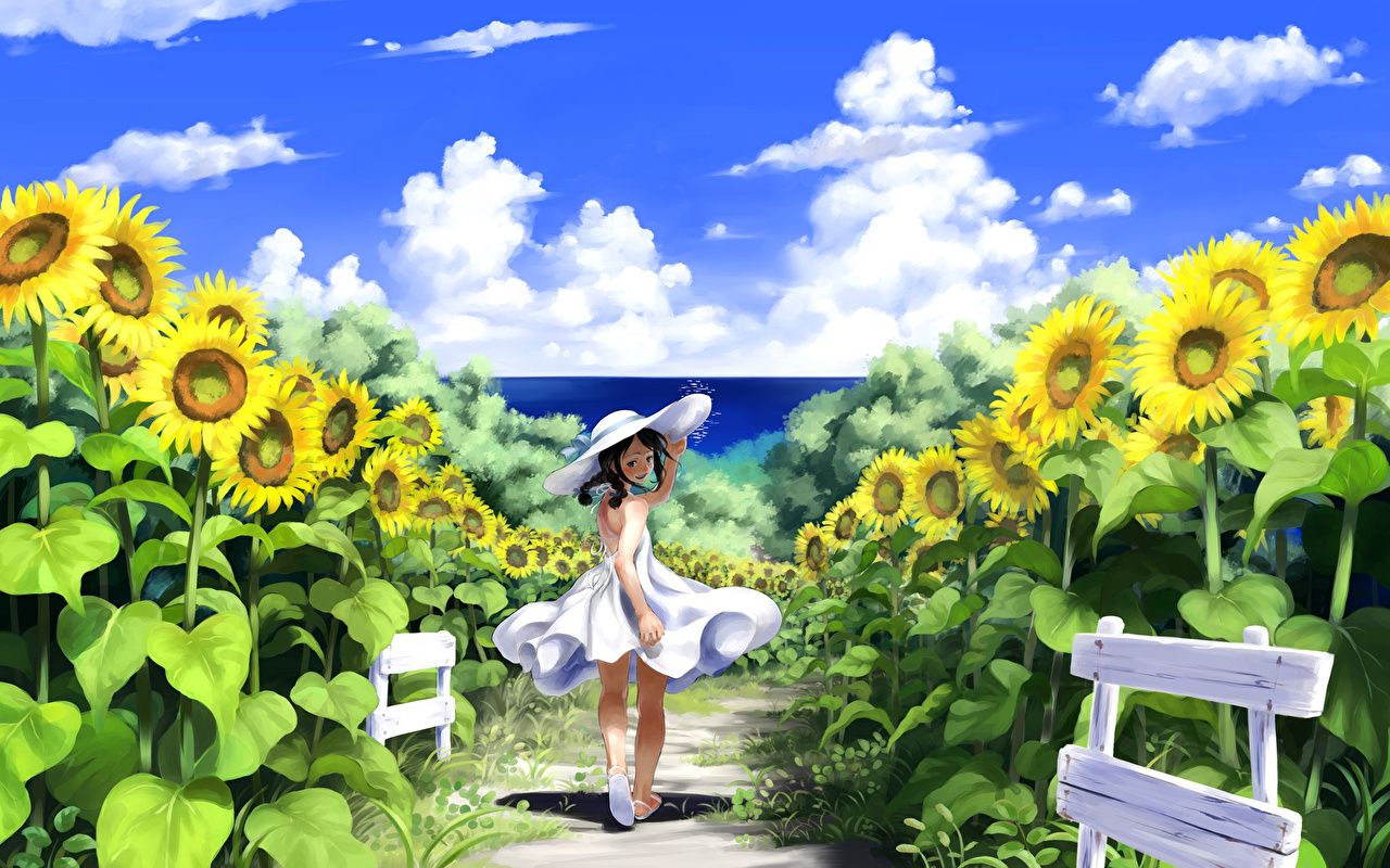 Hat Anime Girls Fields Sunflowers