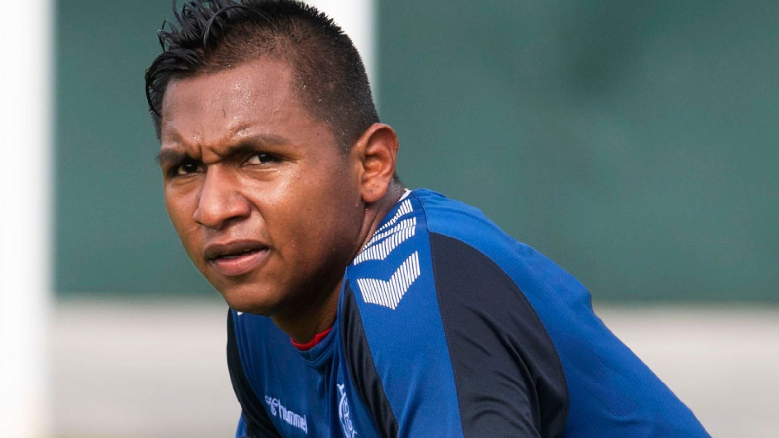 Alfredo Morelos Wallpapers Wallpaper Cave
