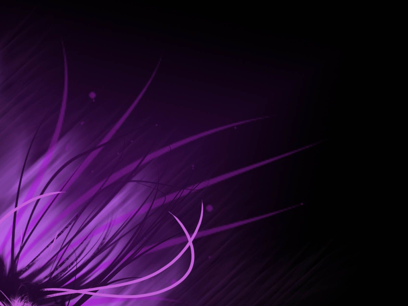 Abstract Purple Background Background for Free