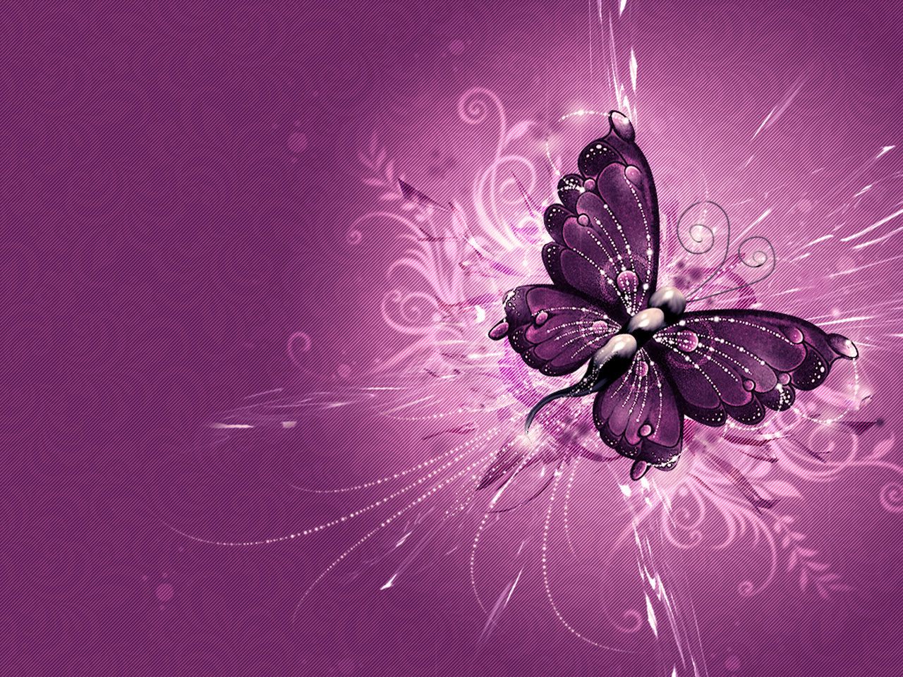 Free download HD wallpaper Fantastic Purple Butterfly Wallpaper