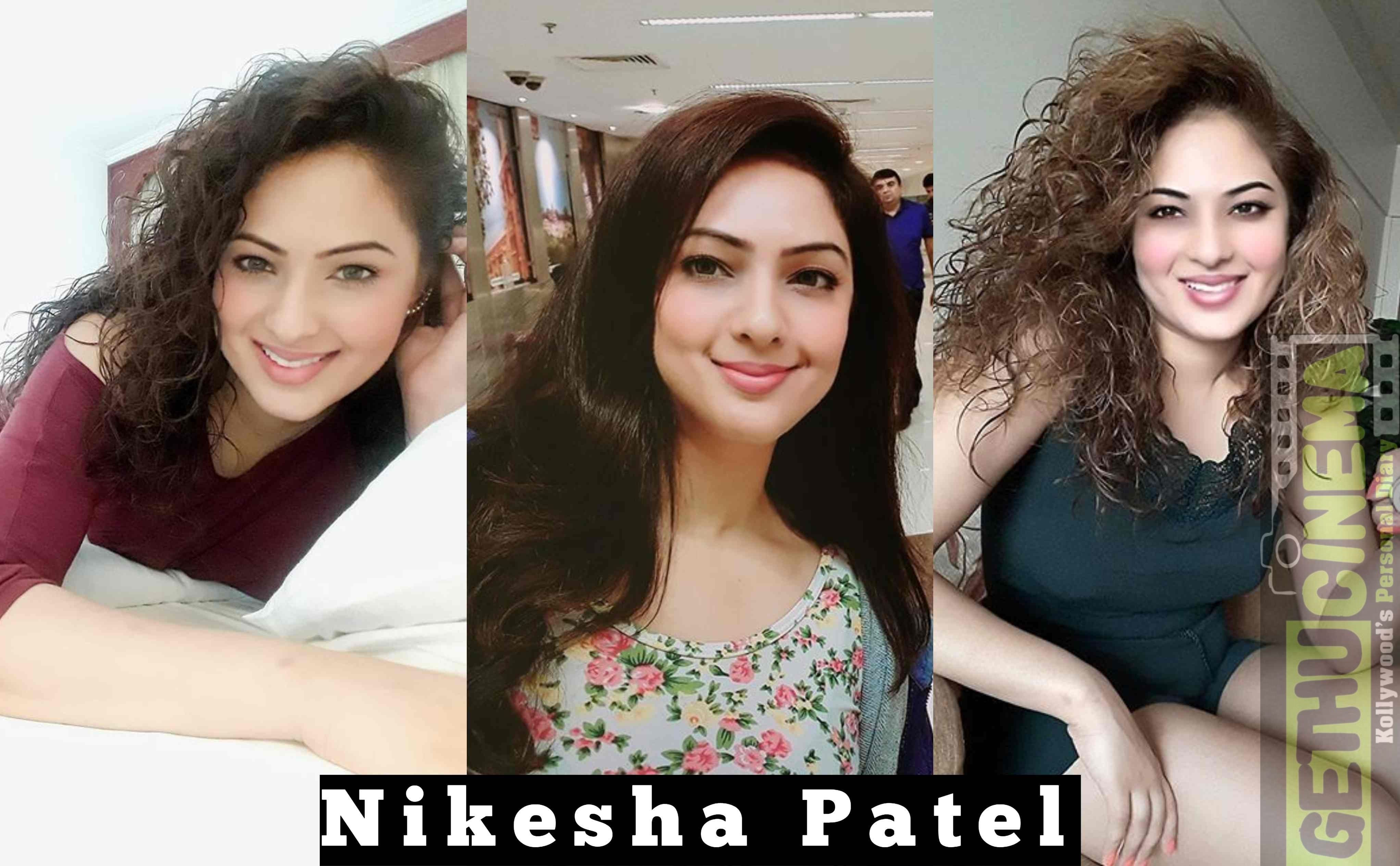 Actress Nikesha Patel Wiki, Biography, Age, News, Gallery, Videos