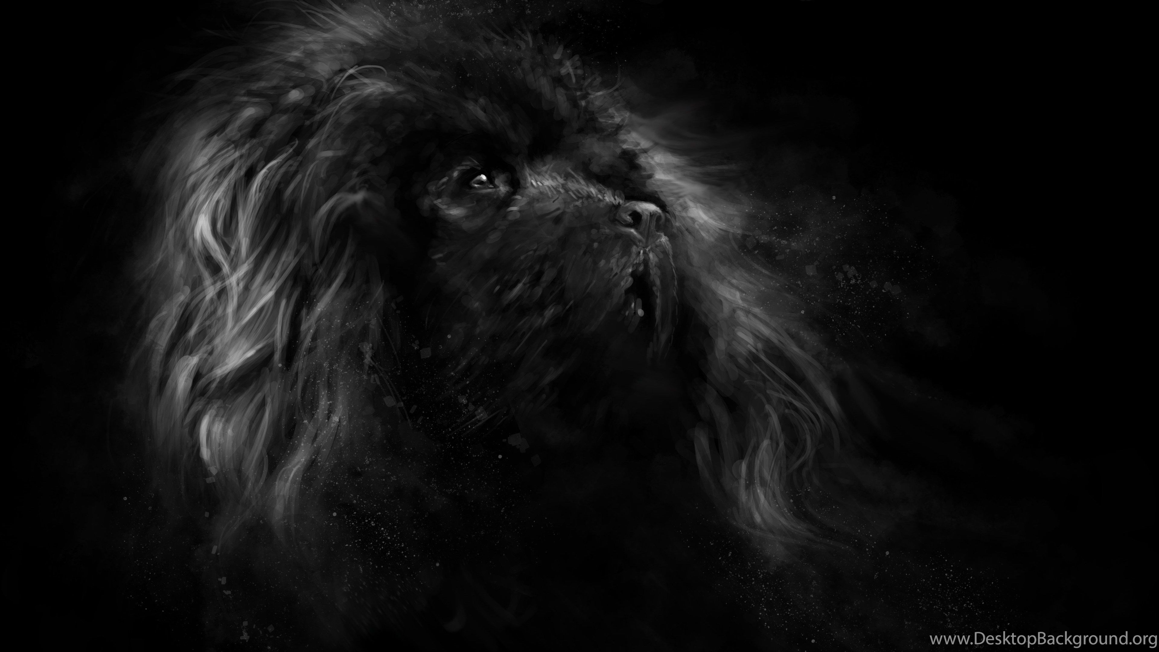 Mastiff Wallpapers - Wallpaper Cave