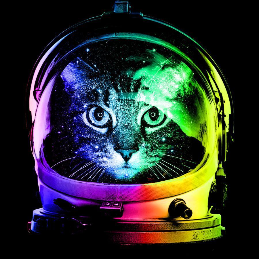 Astronaut Cat Phone Wallpaper Free Astronaut Cat Phone