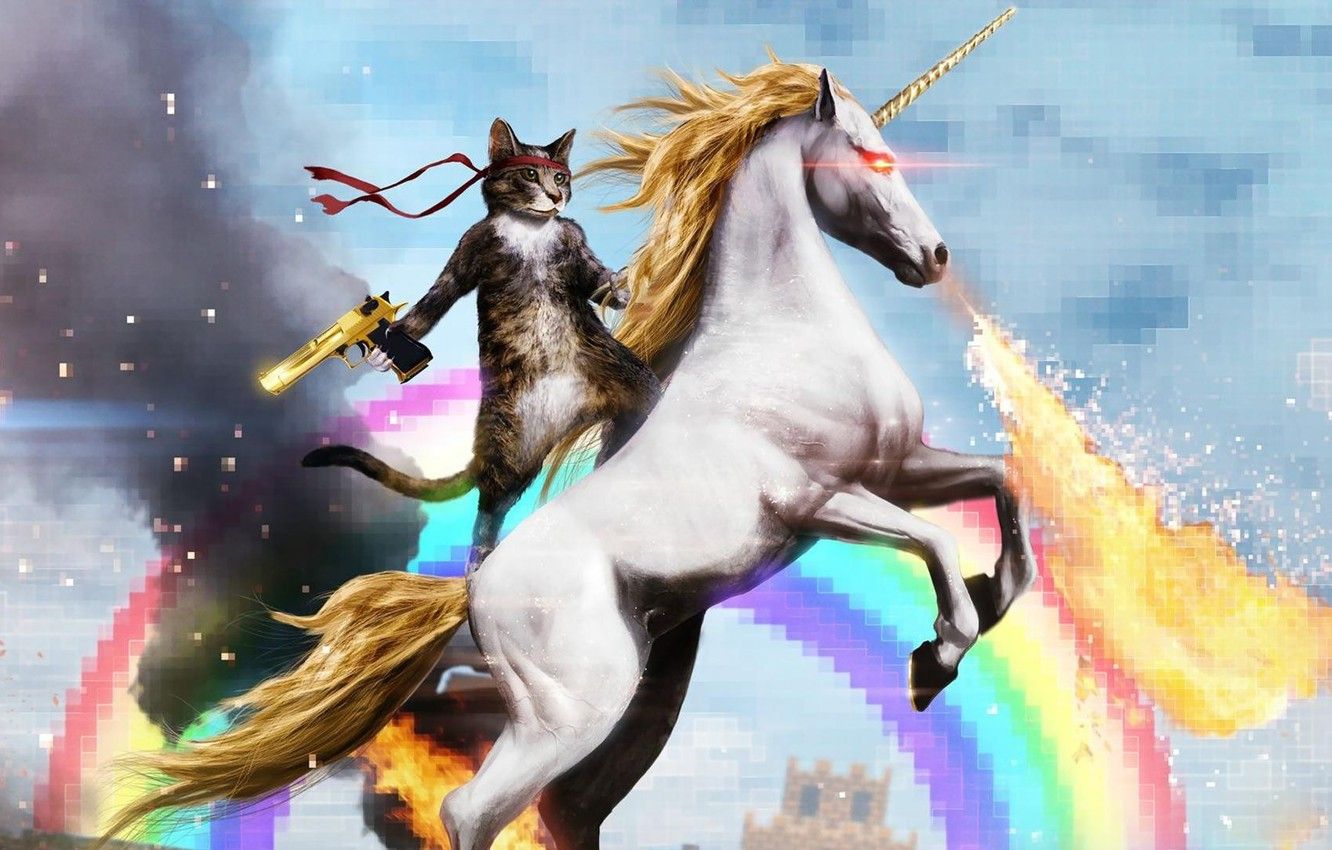 Wallpaper cat, gun, rainbow, unicorn, Kote, Rambo, deagle image