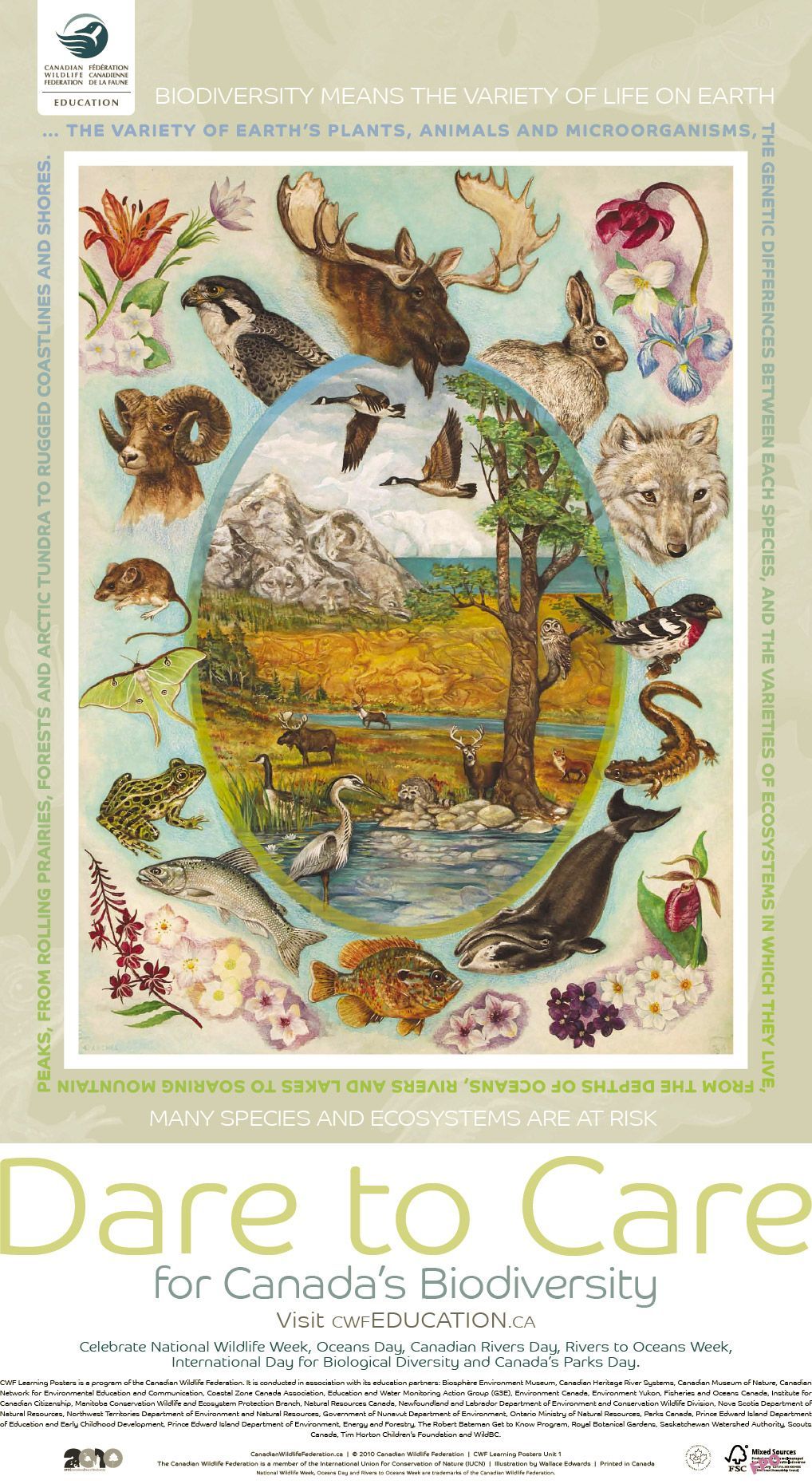 biodiversity poster, Ecosystems, Species