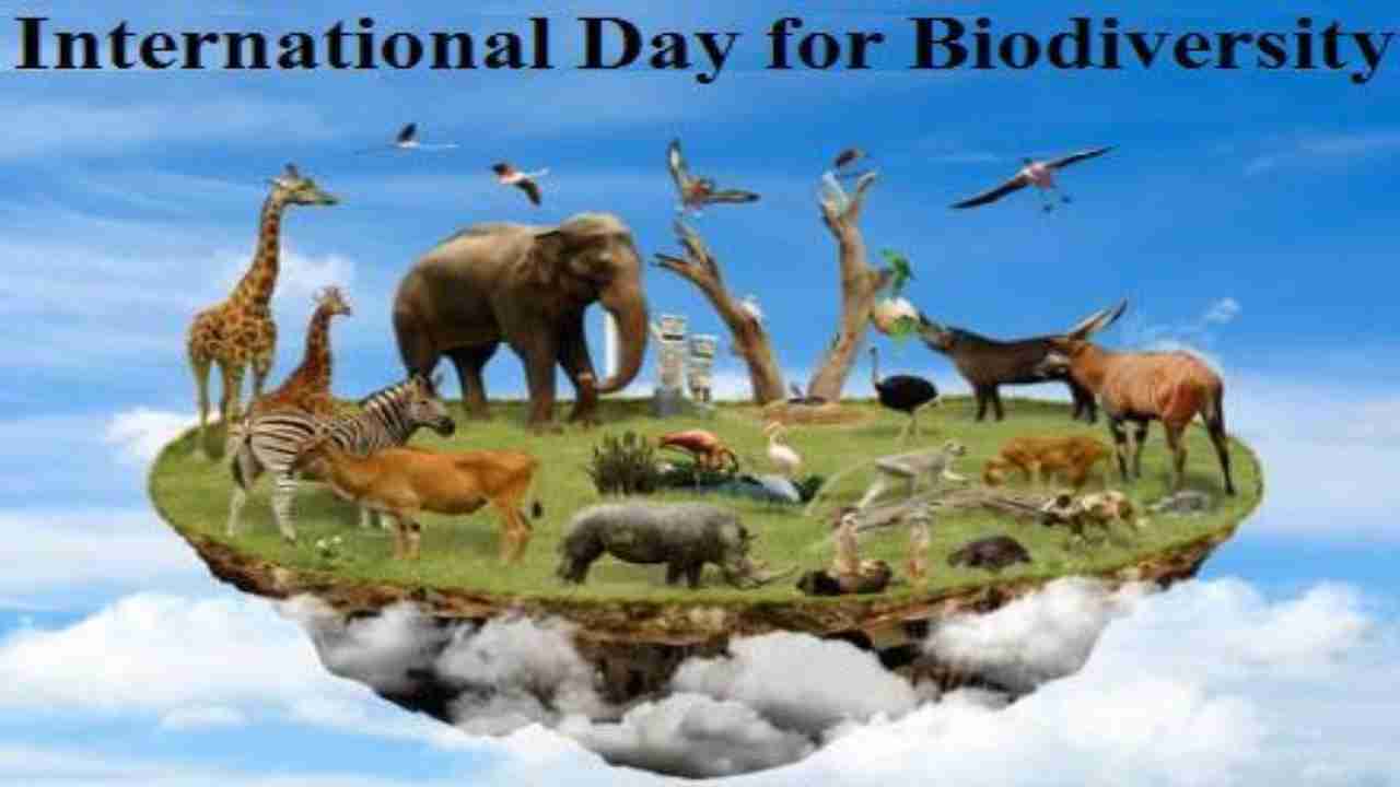International Day For Biological Diversity Wallpapers Wallpaper Cave