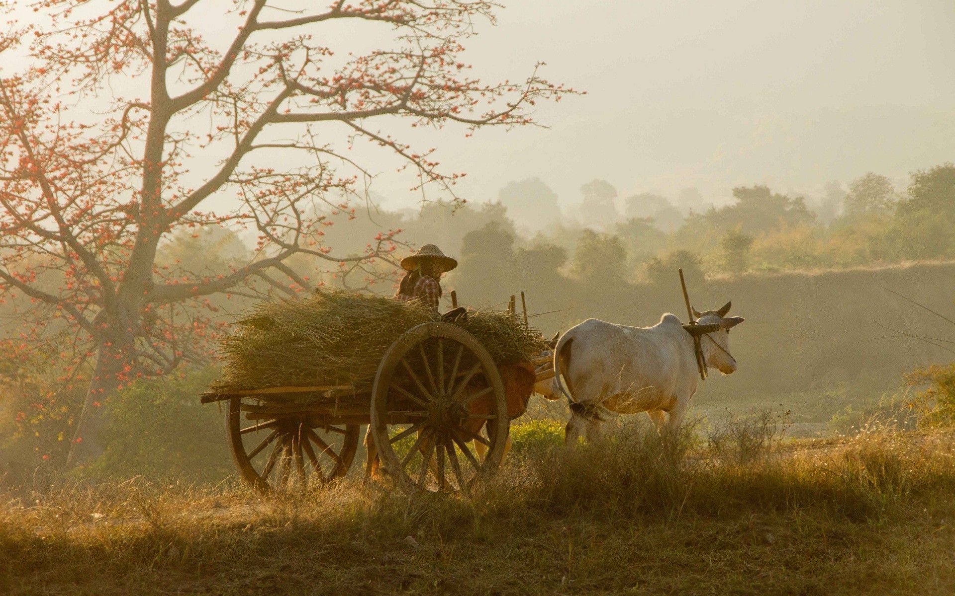 village life