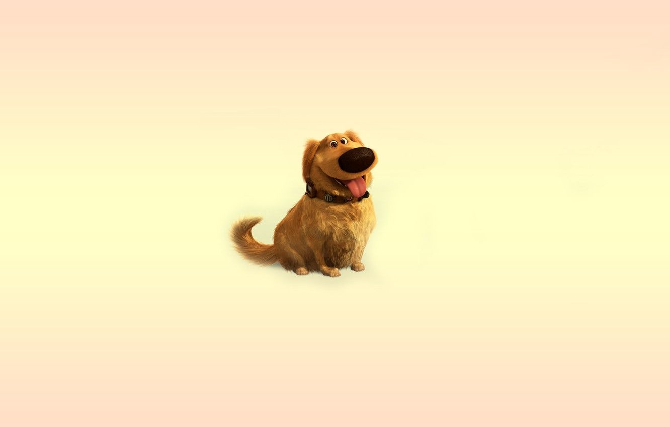Wallpaper language, up, dog, minimalism, dog, collar, dog image for desktop, section минимализм
