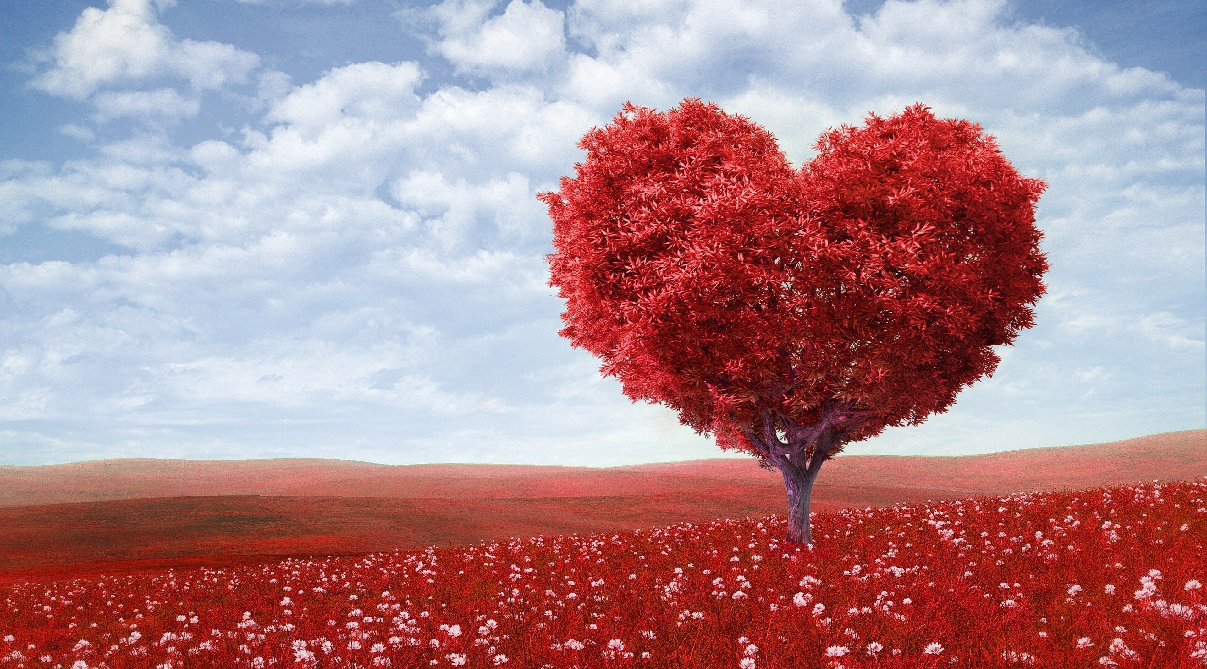 love image 4k large wallpaper for desktop. Love