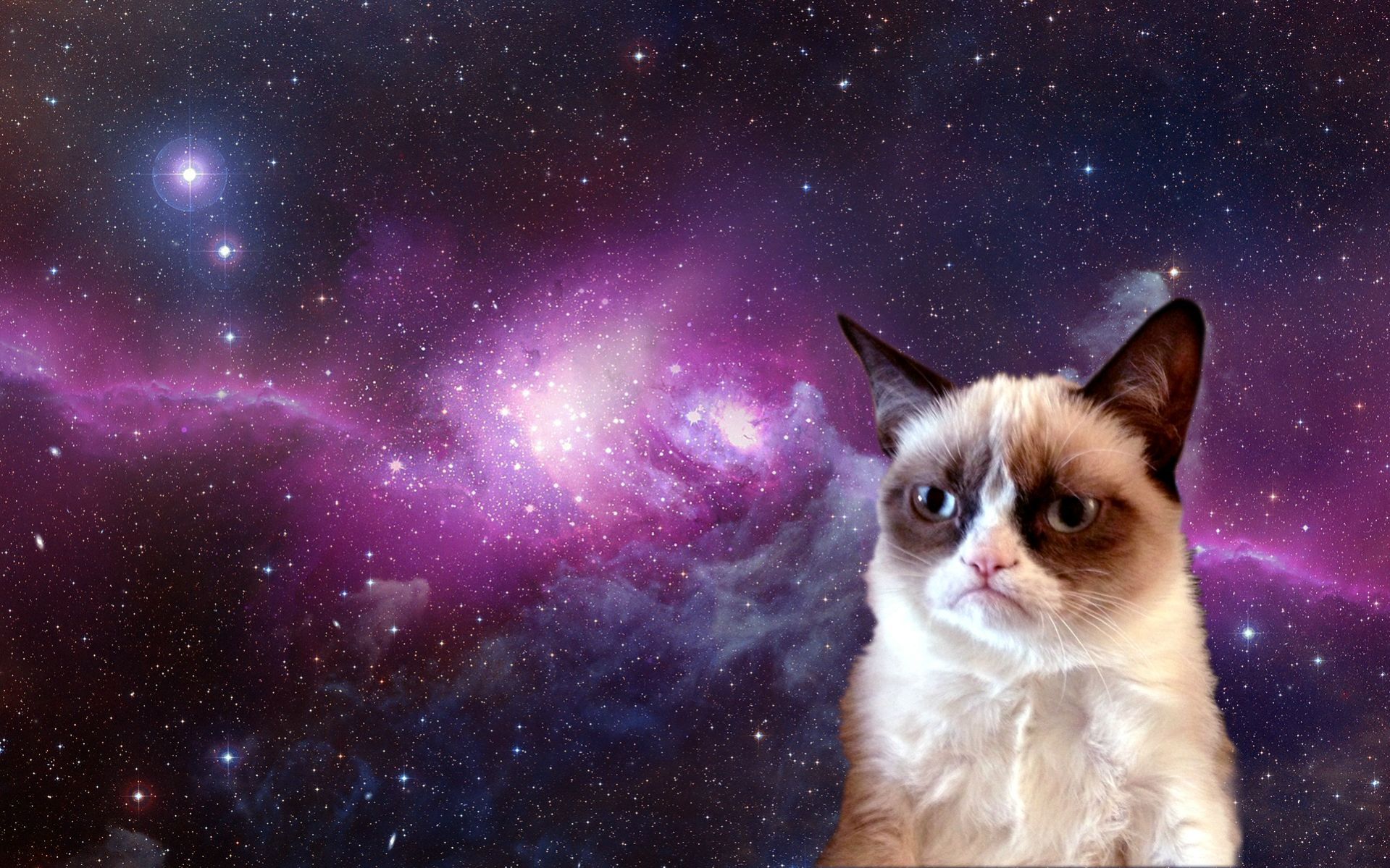 Grumpy Cat Galaxy Wallpaper Free Grumpy Cat Galaxy