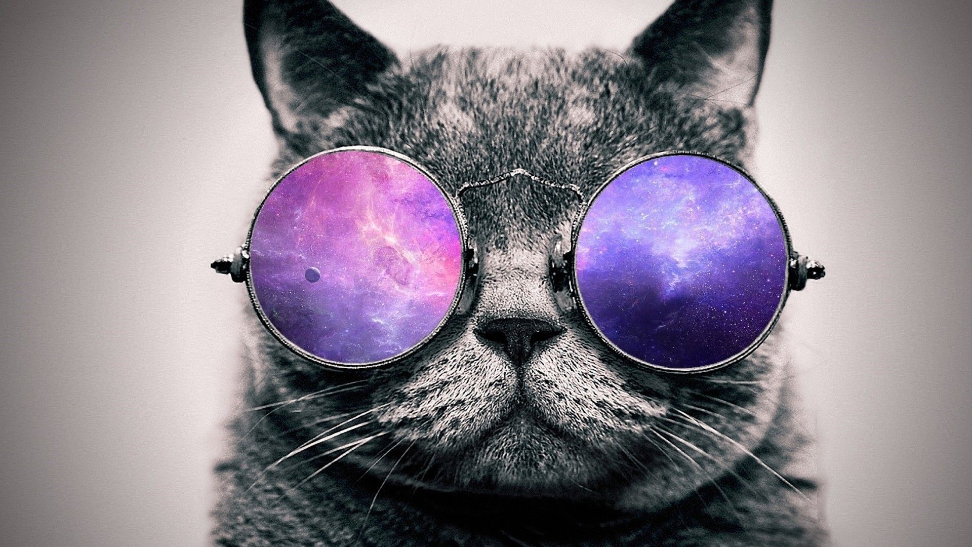 Afbeeldingsresultaat voor cat with galaxy glasses wallpaper