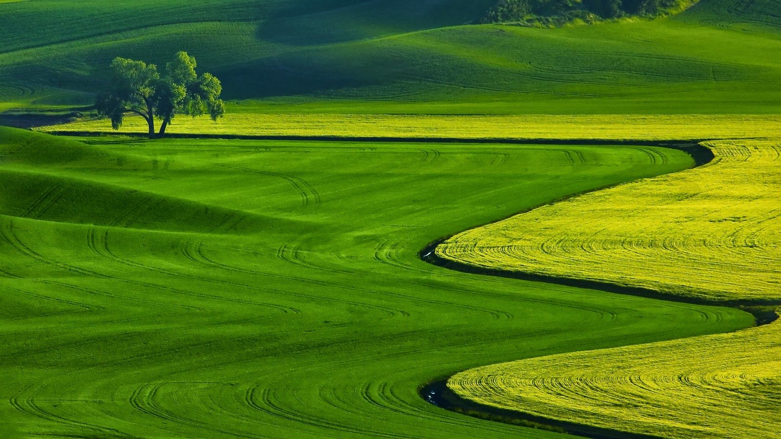 Netbook Wallpaper Free Download