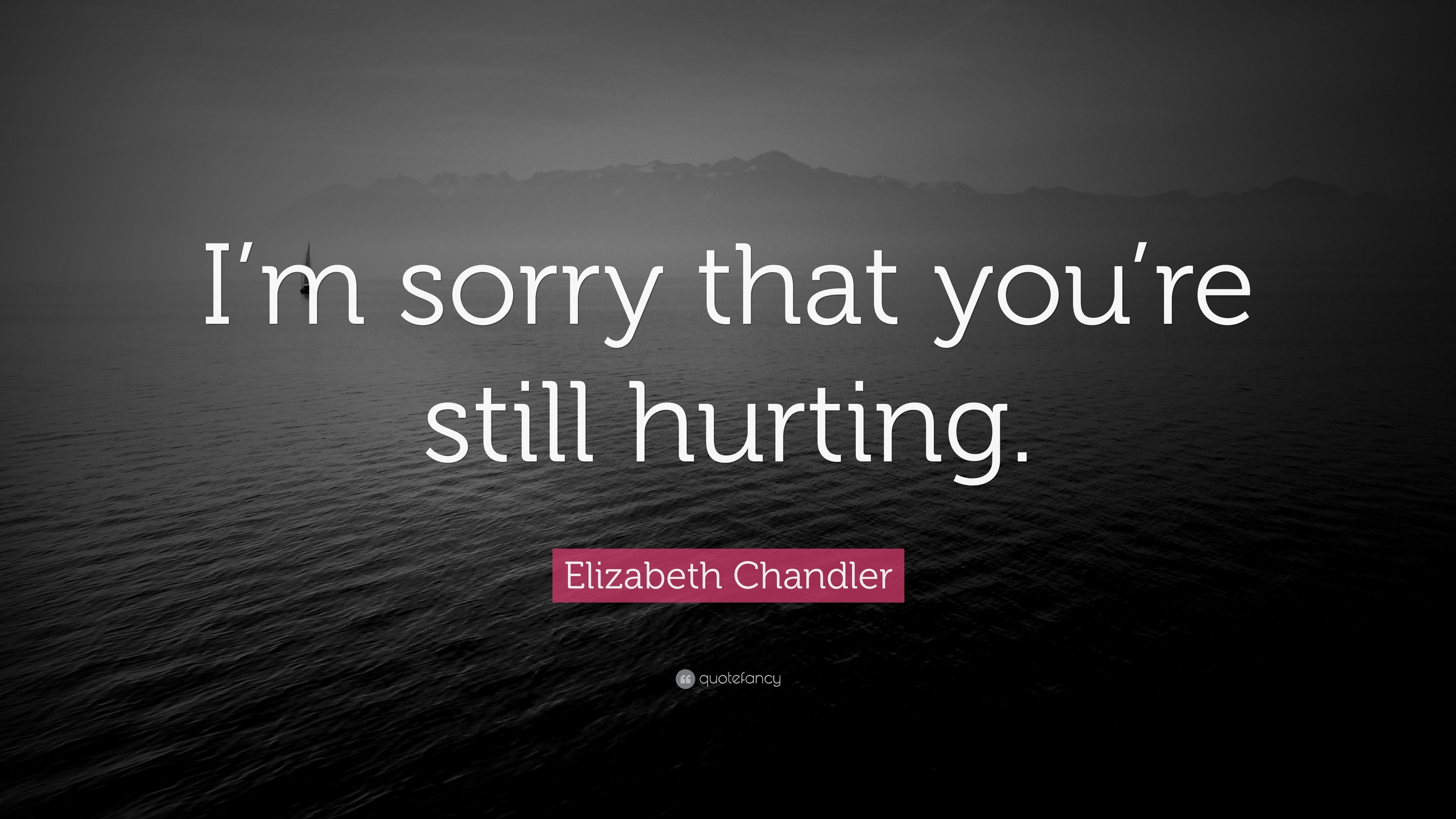 Elizabeth Chandler Quote: “I'm sorry that you're still hurting