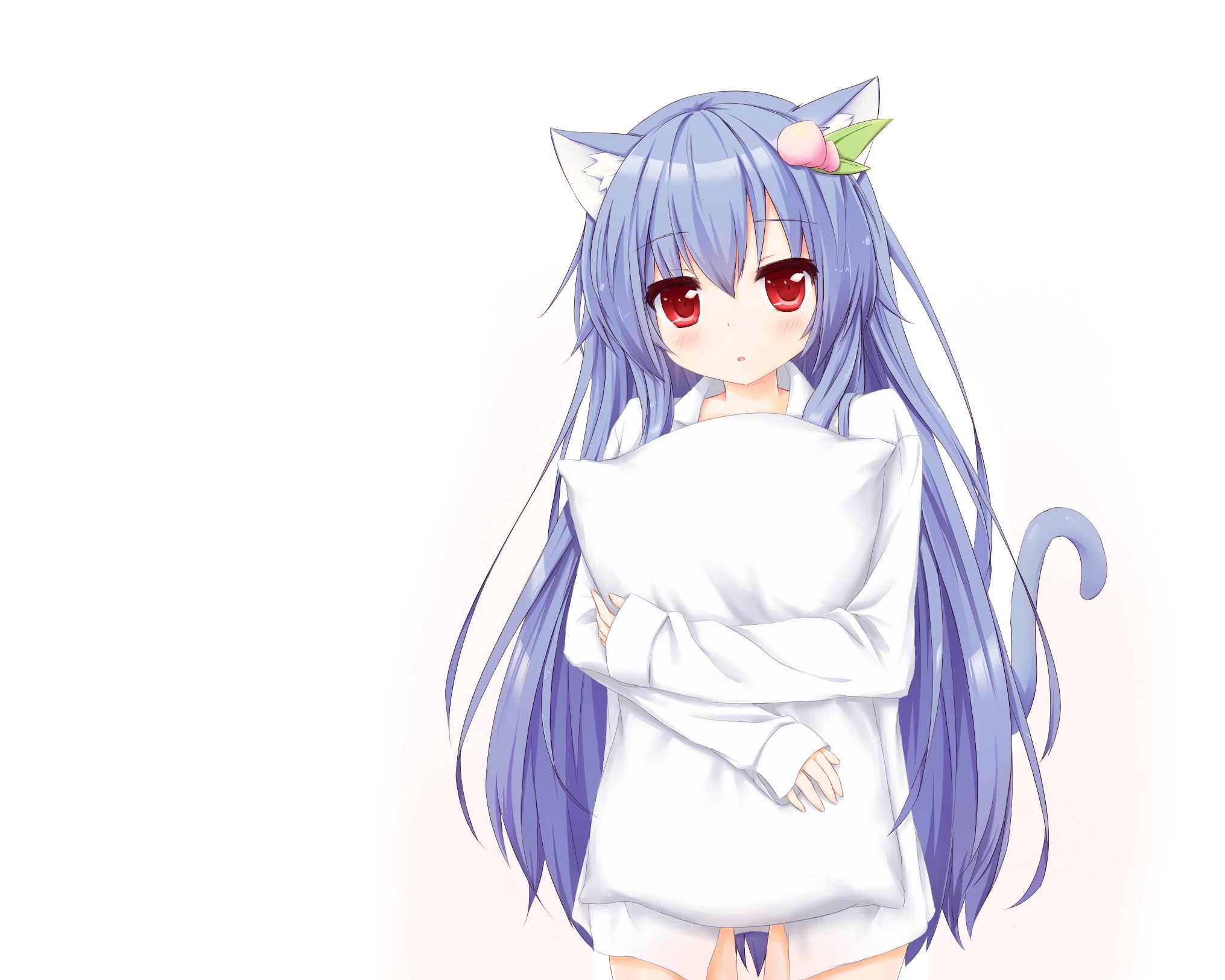 anime girls, Long hair, Animal ears, Blue hair, Pillow Wallpaper
