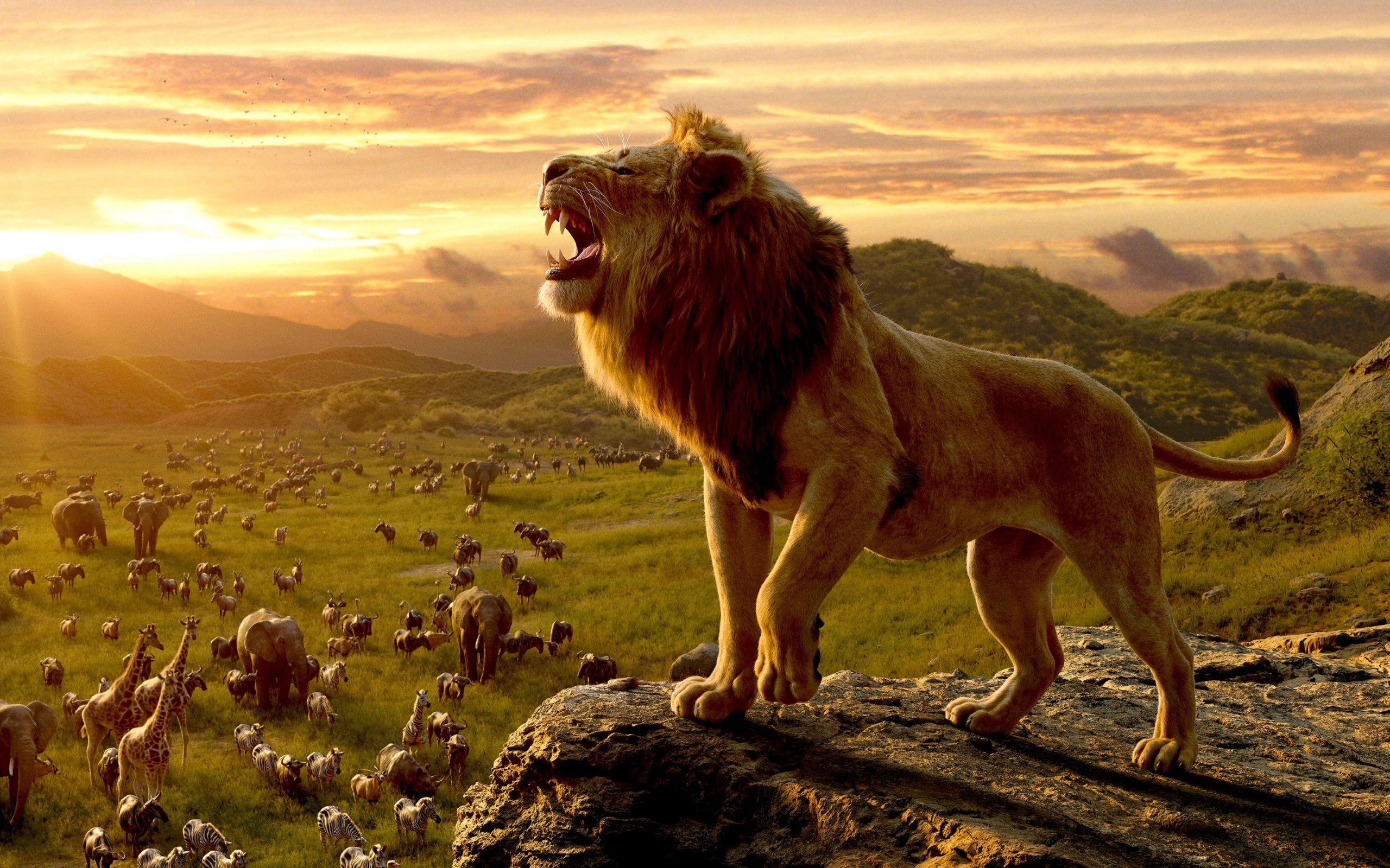 Download wallpaper: Simba, the lion king 2560x1600