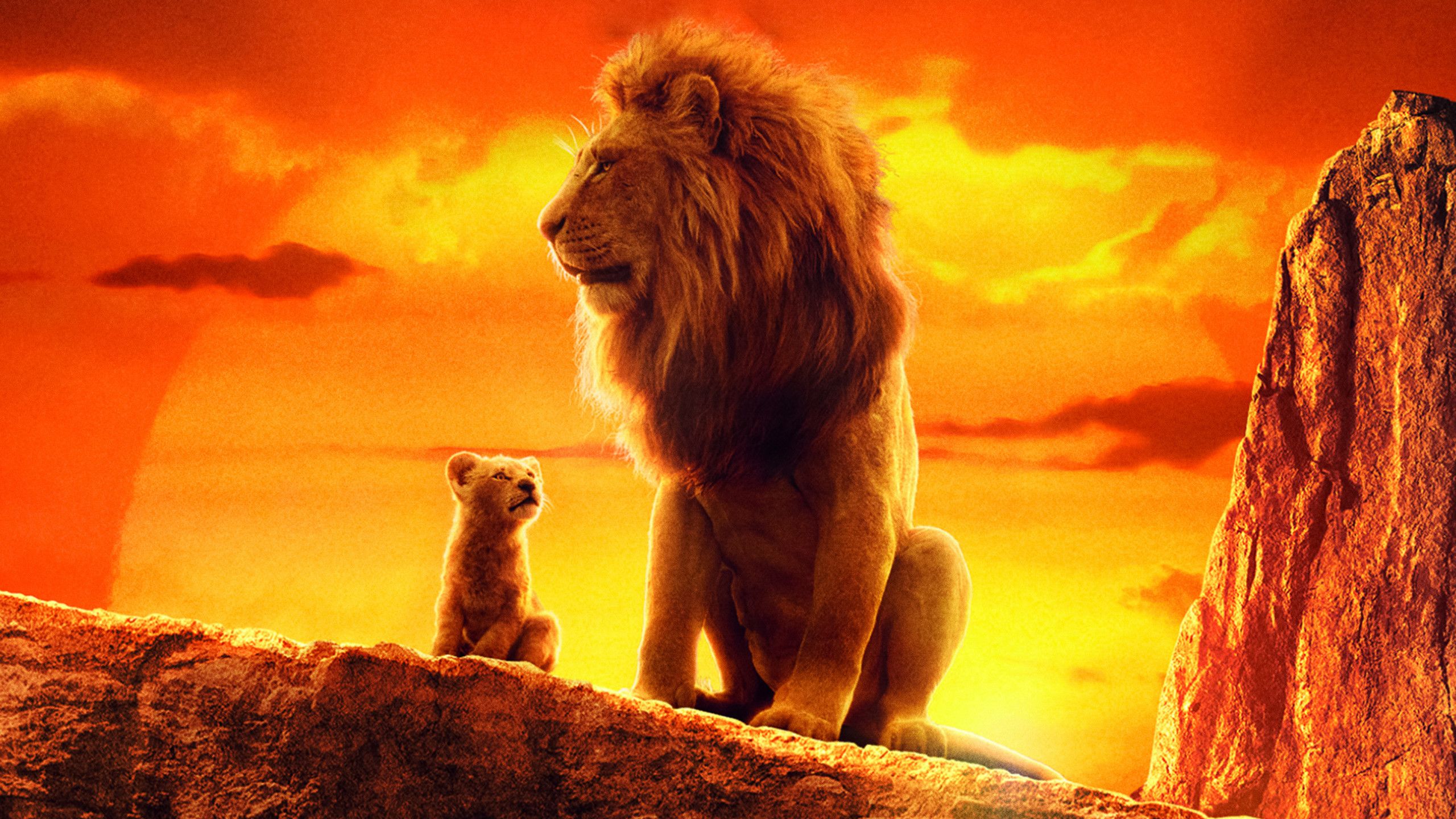 The Lion King 2019 4k Movie 1440P Resolution HD 4k