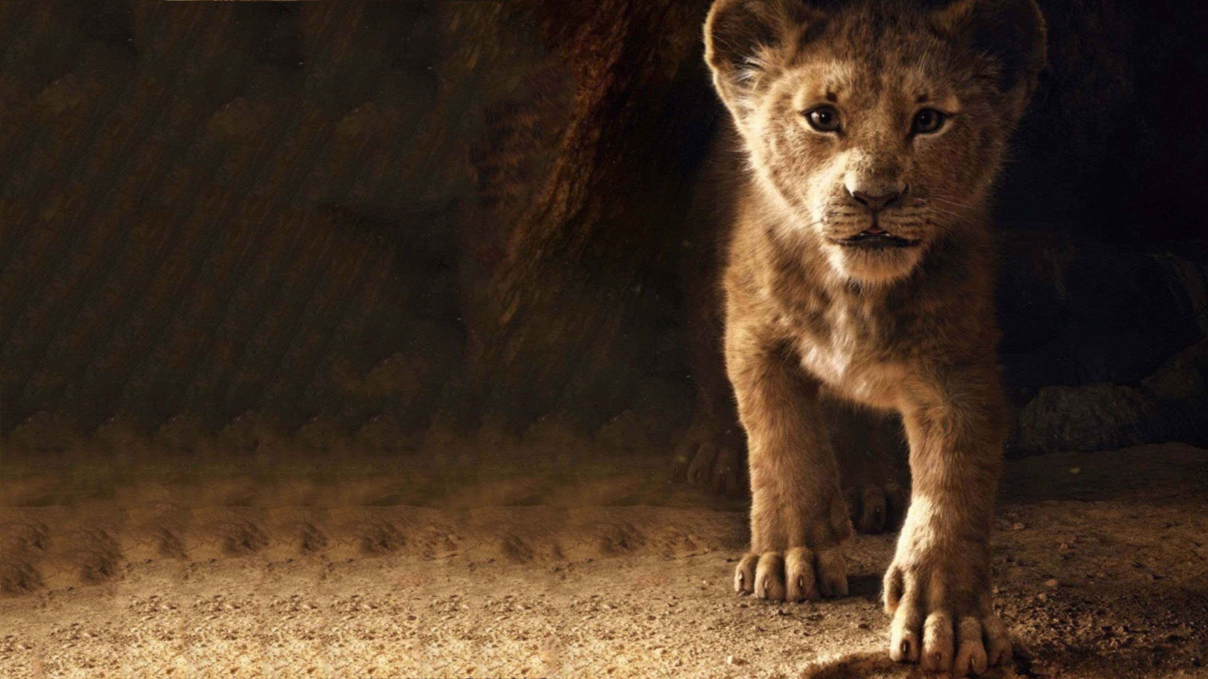 Wallpaper 4k The Lion King Simba 2019 2019 movies wallpaper, 4k