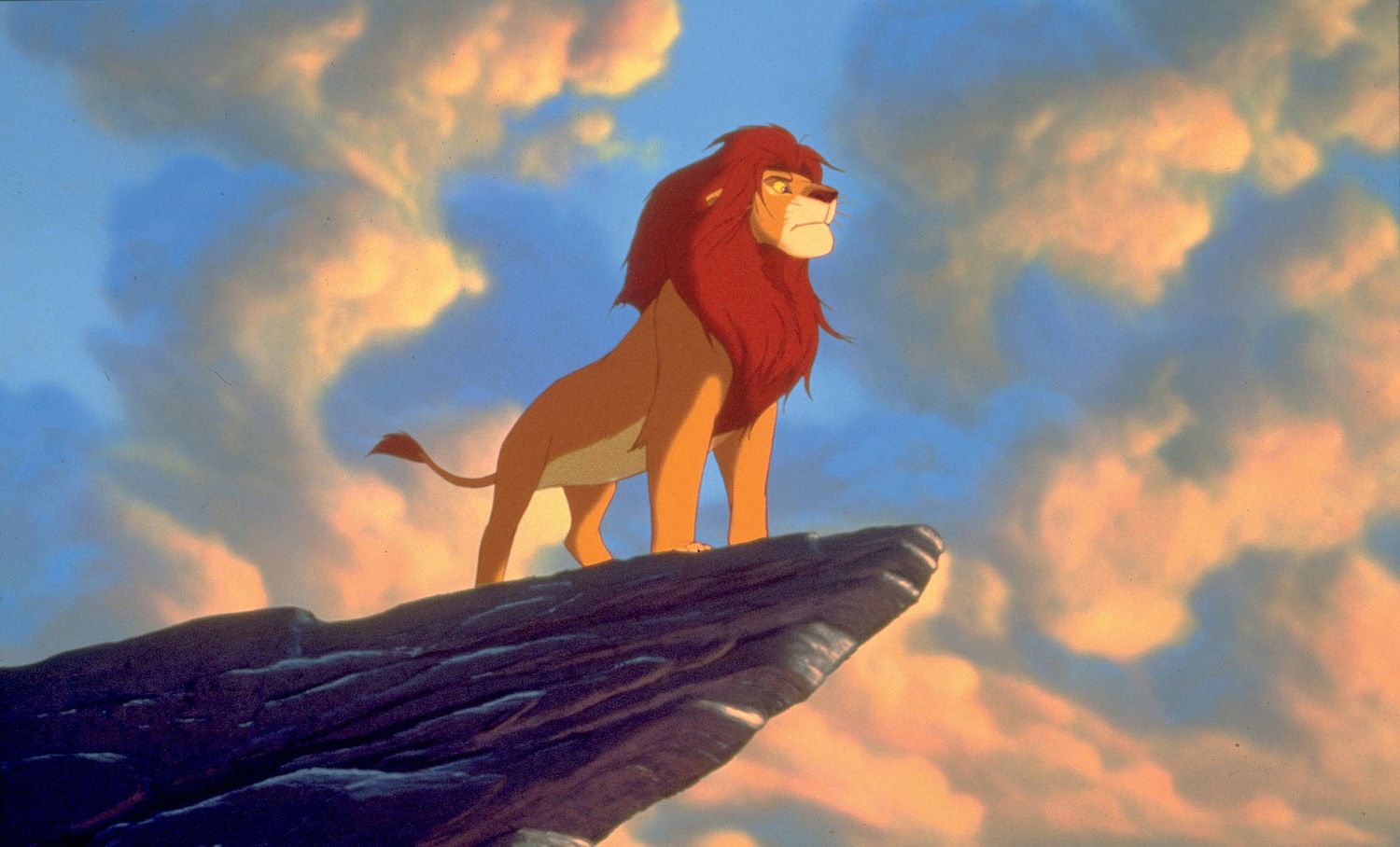 Wallpaper The Lion King HD Movies 20937