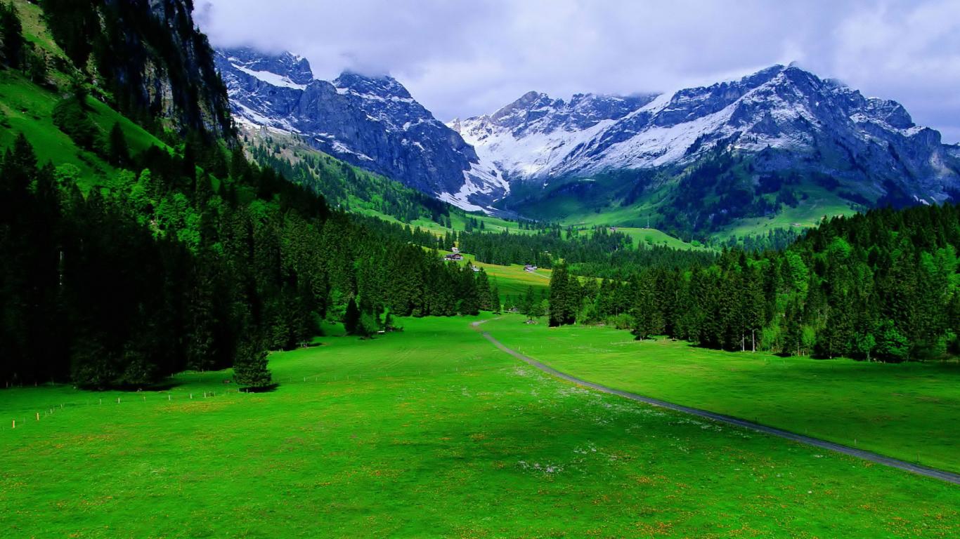 Beautiful Trees & Alps Nature Mountain Wallpaper Mountains