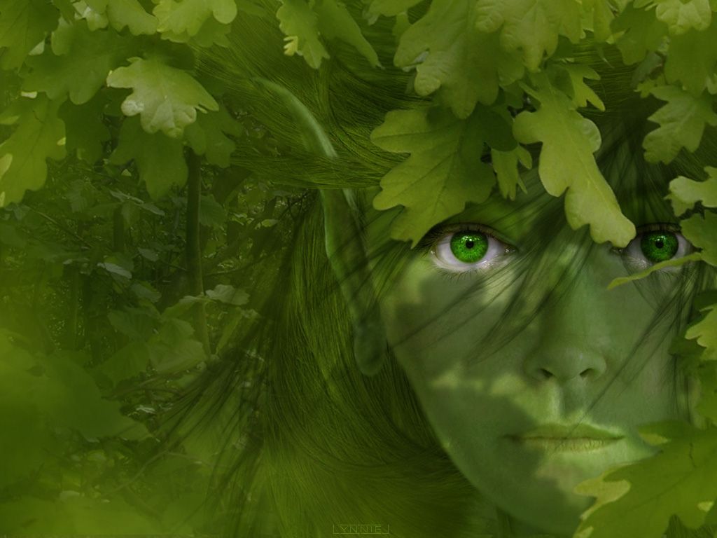 Download wallpaper: girl, elf, tree elf, Forest elf, elf woman