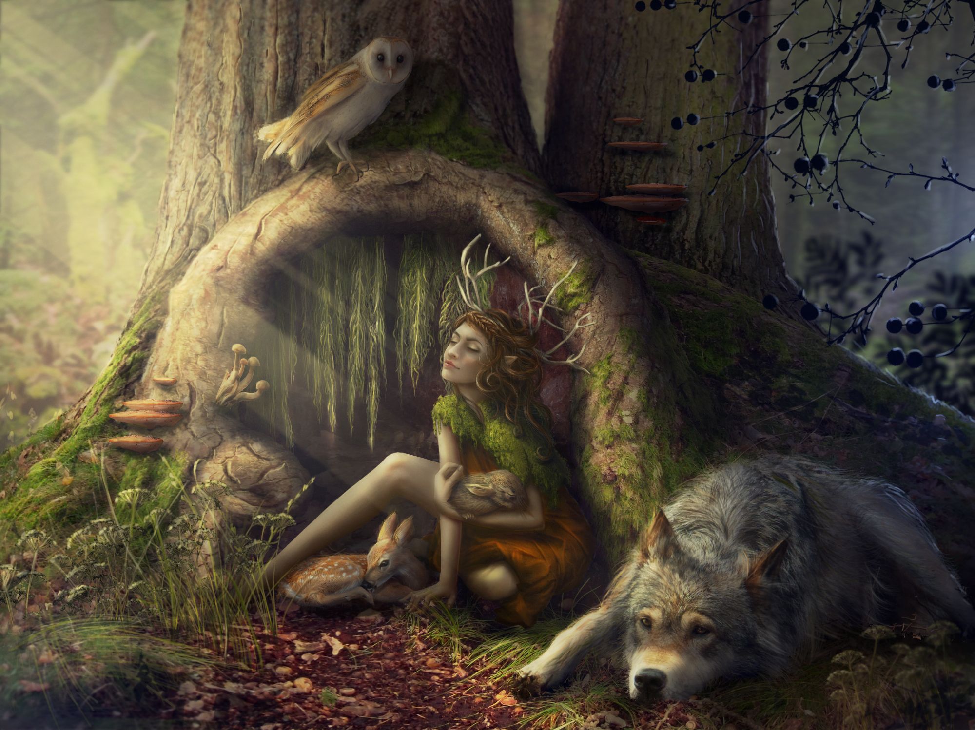 Elf in Fantasy Forest HD Wallpaper. Background Imagex1498