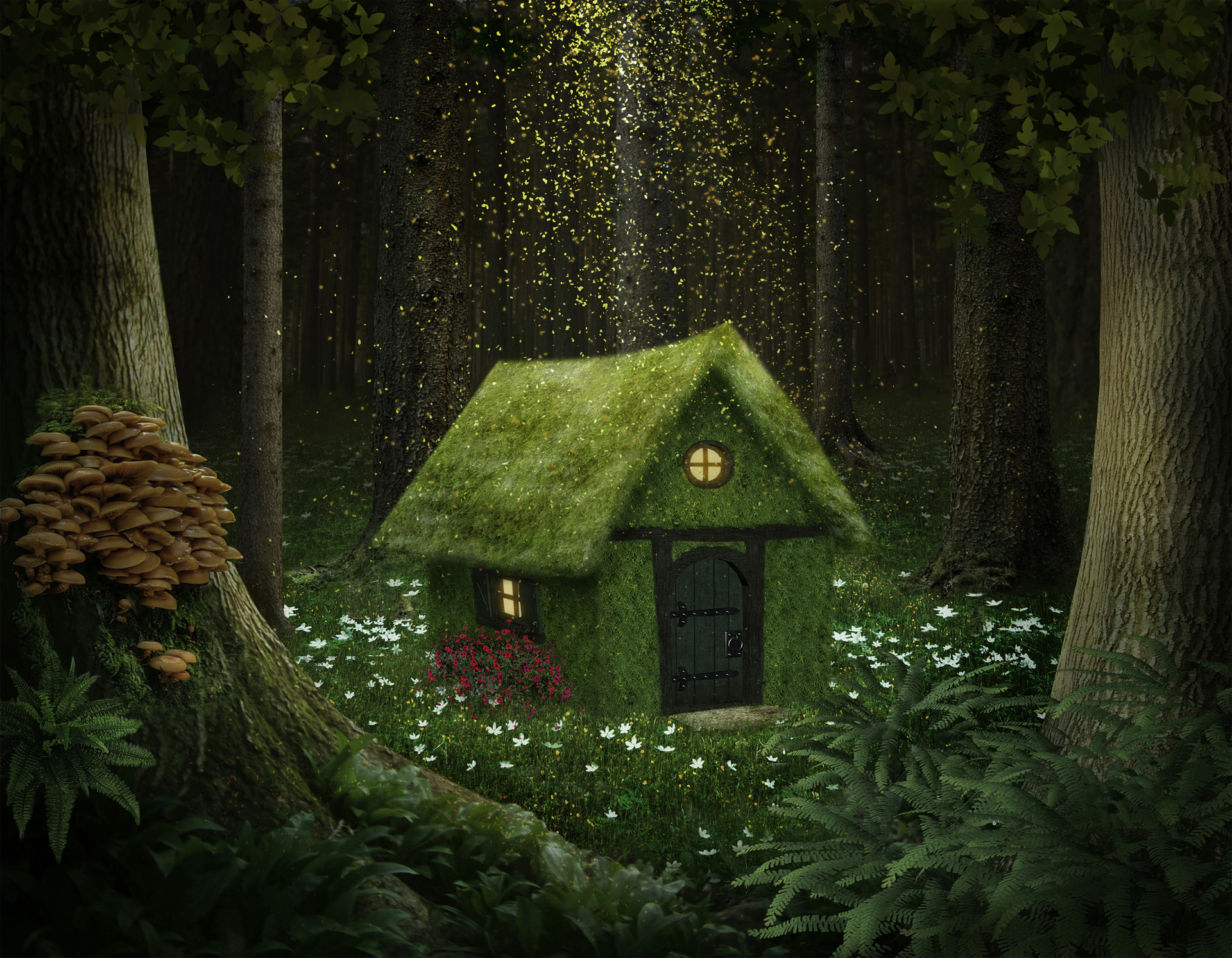 Elf House in the Enchanted Forest HD Wallpaper