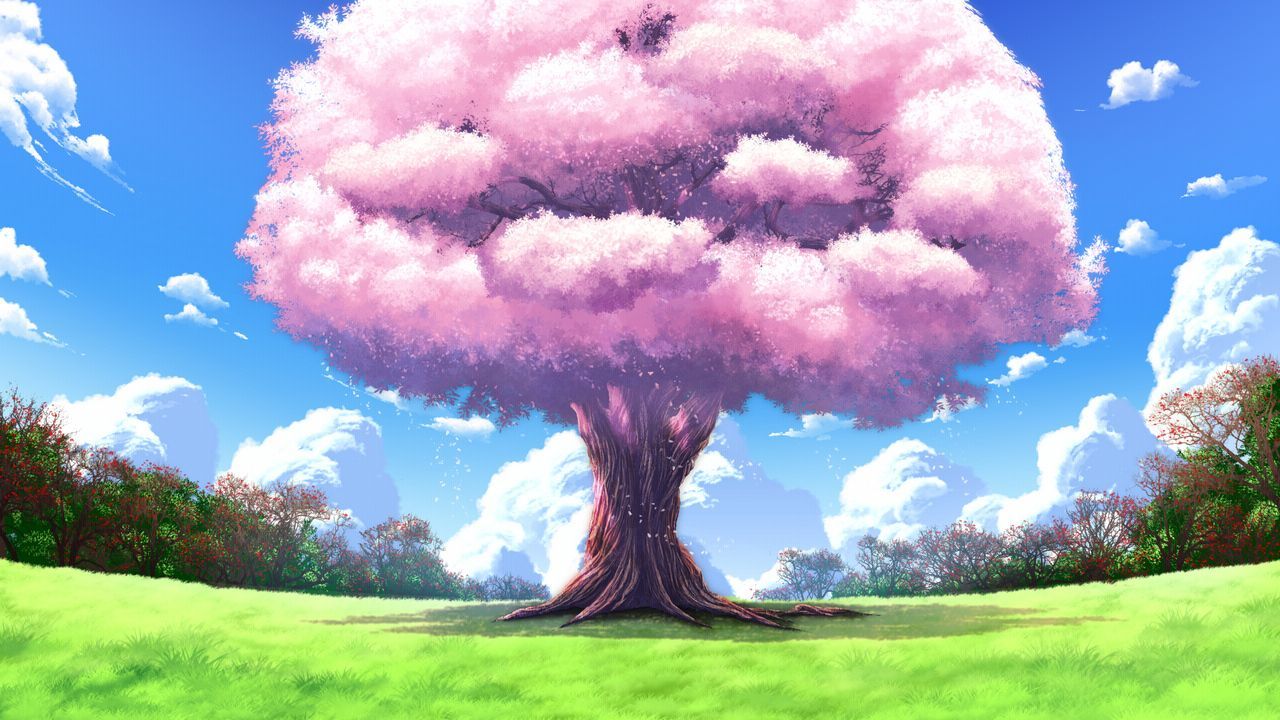 cherry_blossoms clouds fortissimo//akkord:bsusvier game_cg grass landscape nobody scenic sky tree. Anime scenery, Anime background, Anime background wallpaper
