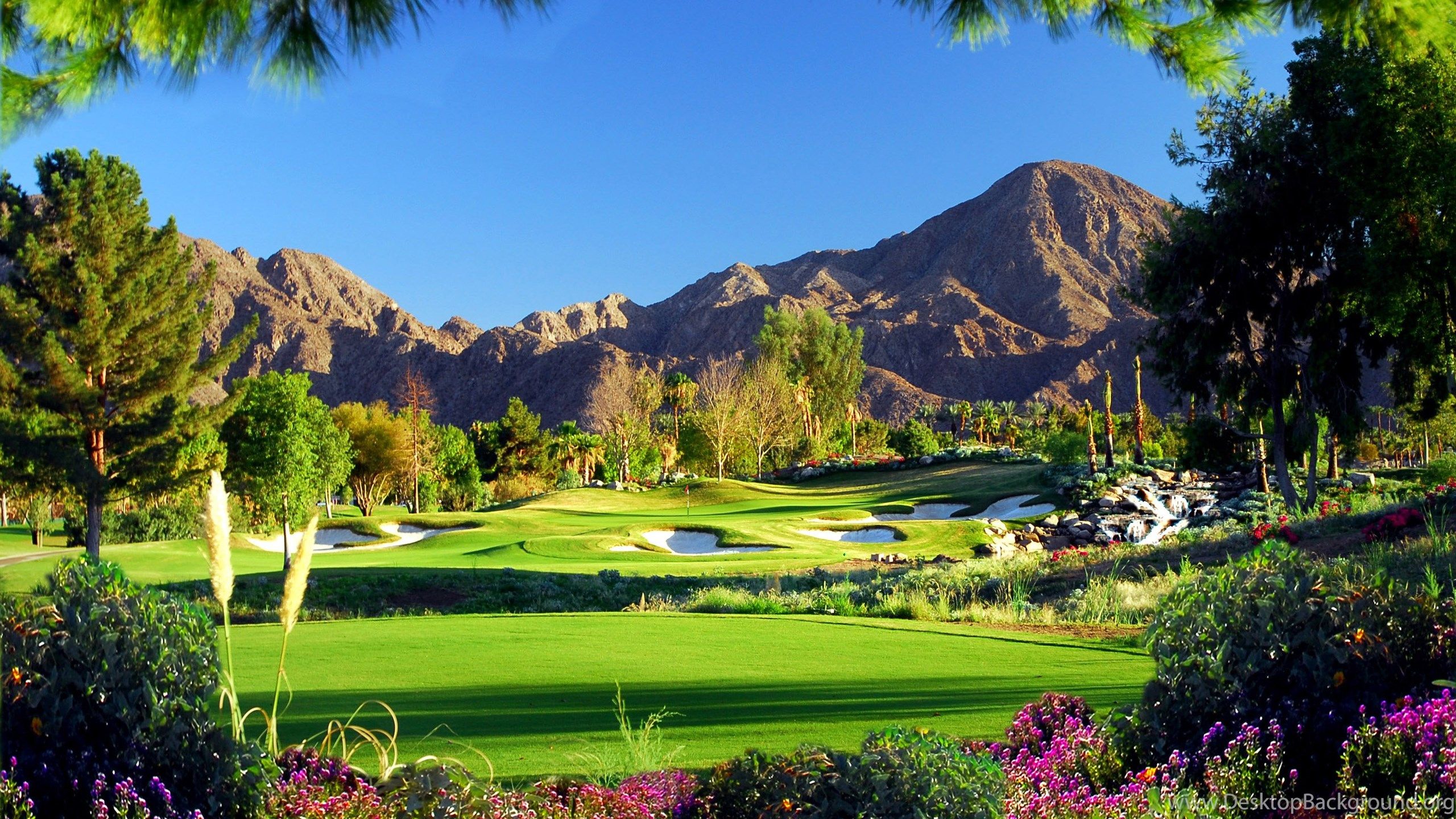 Jestingstock.com Palm Springs Golf Wallpaper Desktop Background