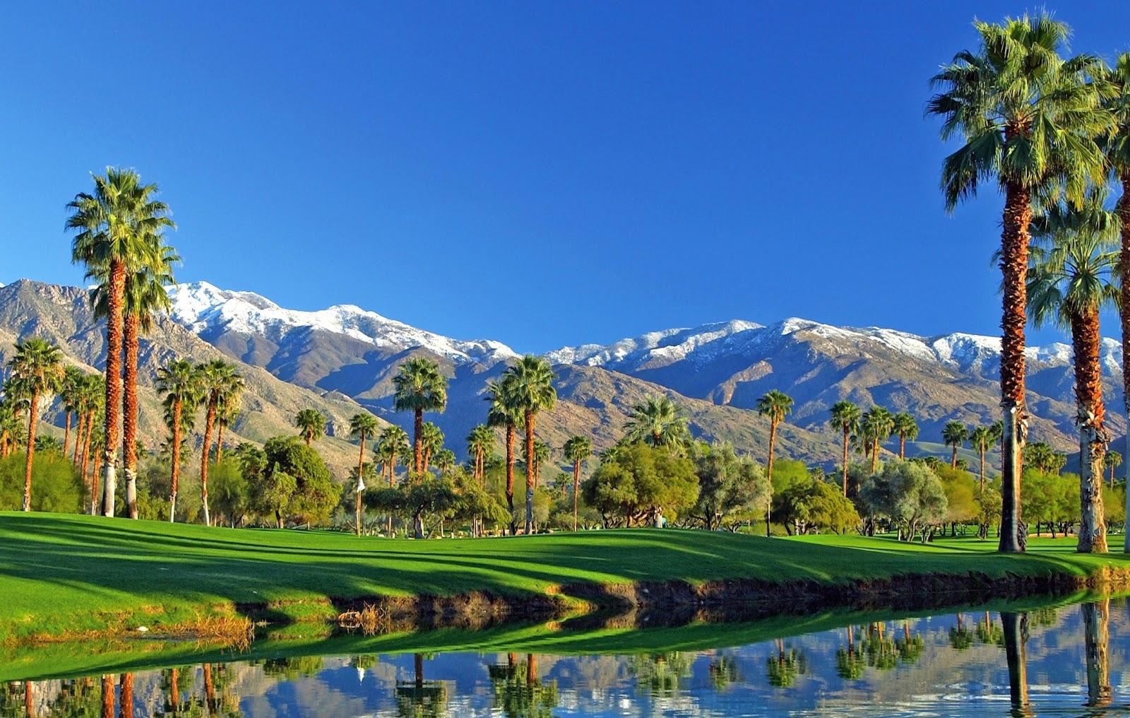 Palm Springs Desktop Background