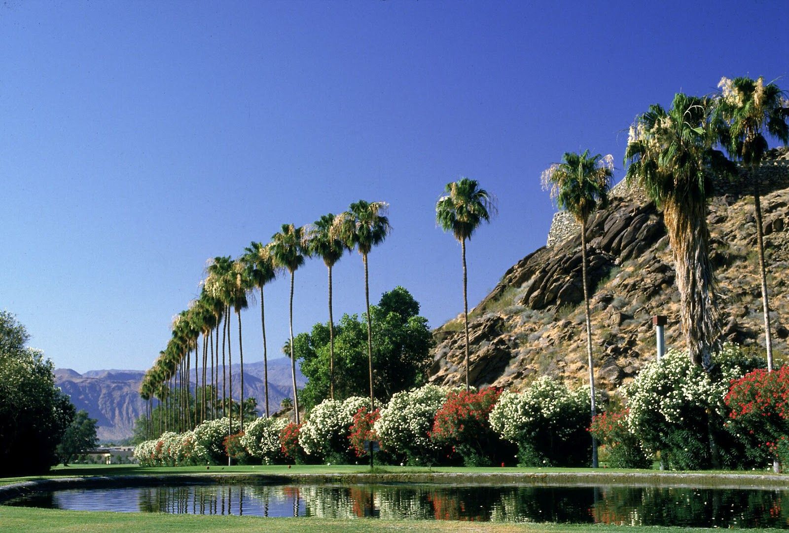Palm Springs Downtown Park - Visit Palm Springs