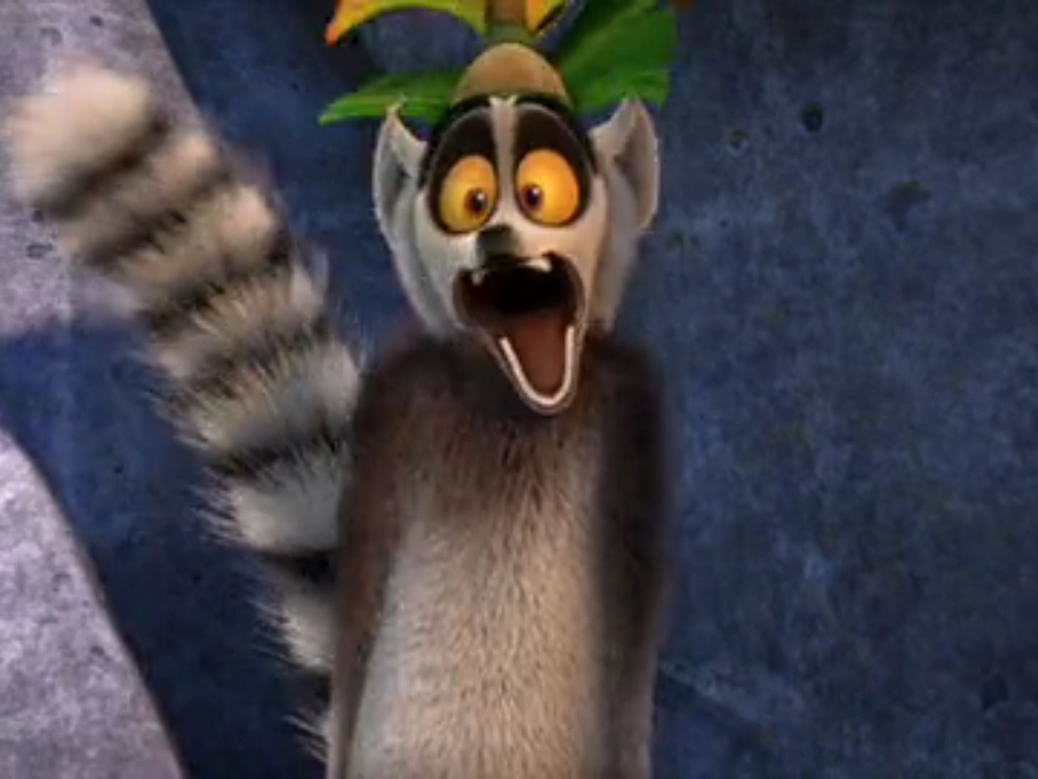 When new All Hail King Julien episodes come out