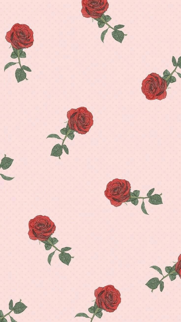 Hình nền hồng cute hình hoa hồng: Với hình nền hồng xinh xắn và hoa hồng rực rỡ, bạn sẽ cảm thấy ngọt ngào và đáng yêu như một bông hoa hồng. Hãy chắc chắn rằng bạn sẽ không thể rời mắt khỏi hình ảnh này đấy!