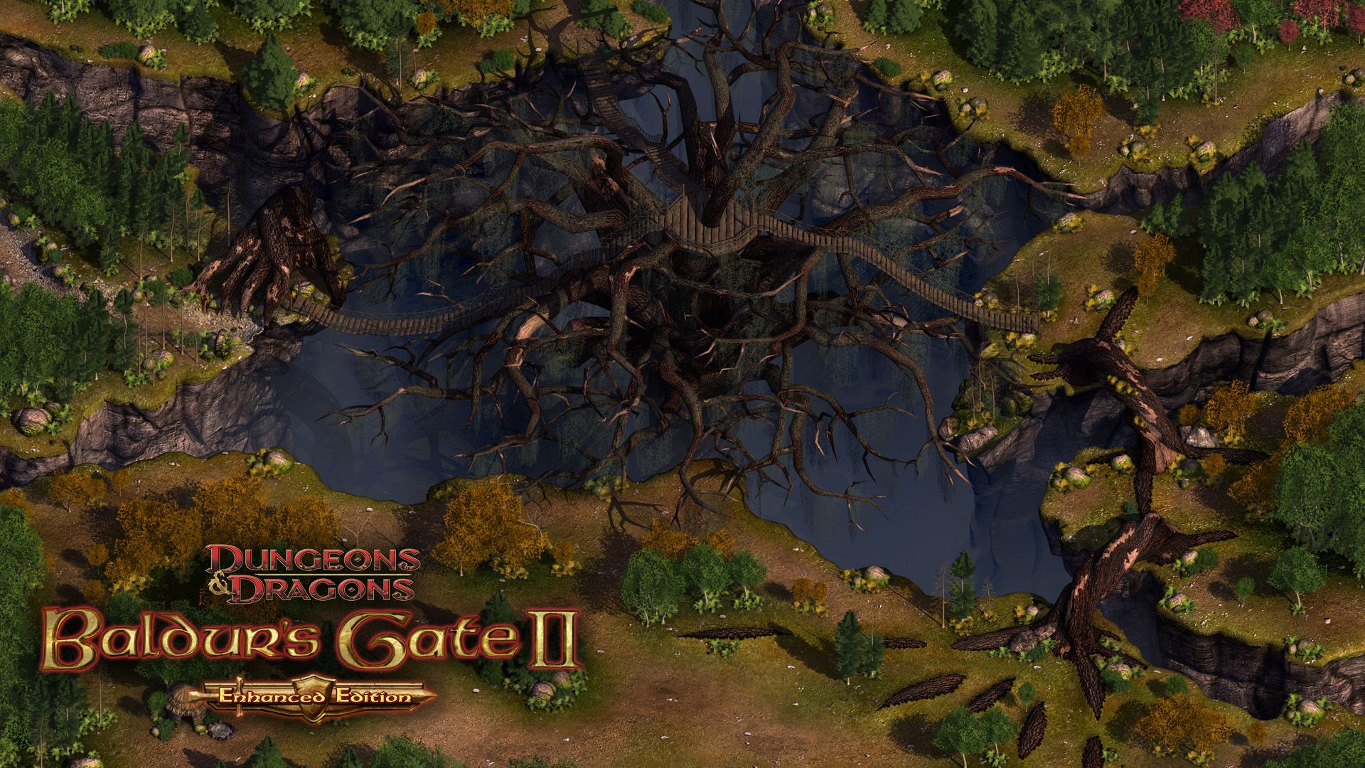 Baldur's Gate 2: Enhanced Edition Wallpaper