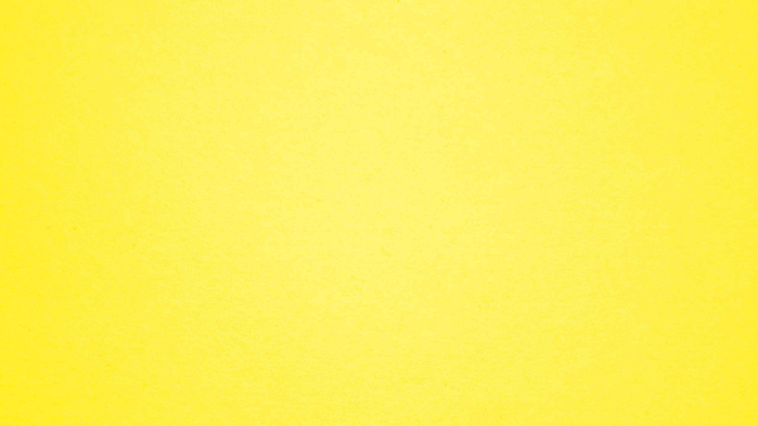 Free download solid yellow [2560x1440] for your Desktop, Mobile