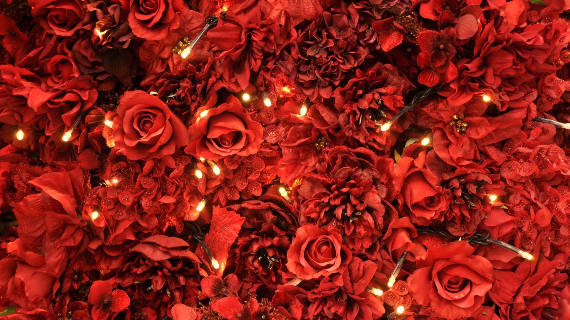 HD Flower Wallpapers Red Roses Lights