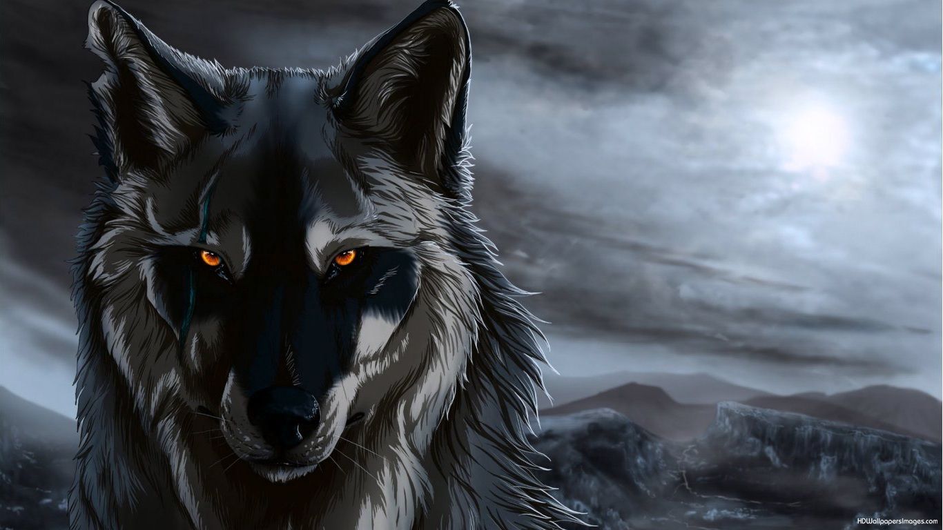 Wolf Anime Wallpaper HD
