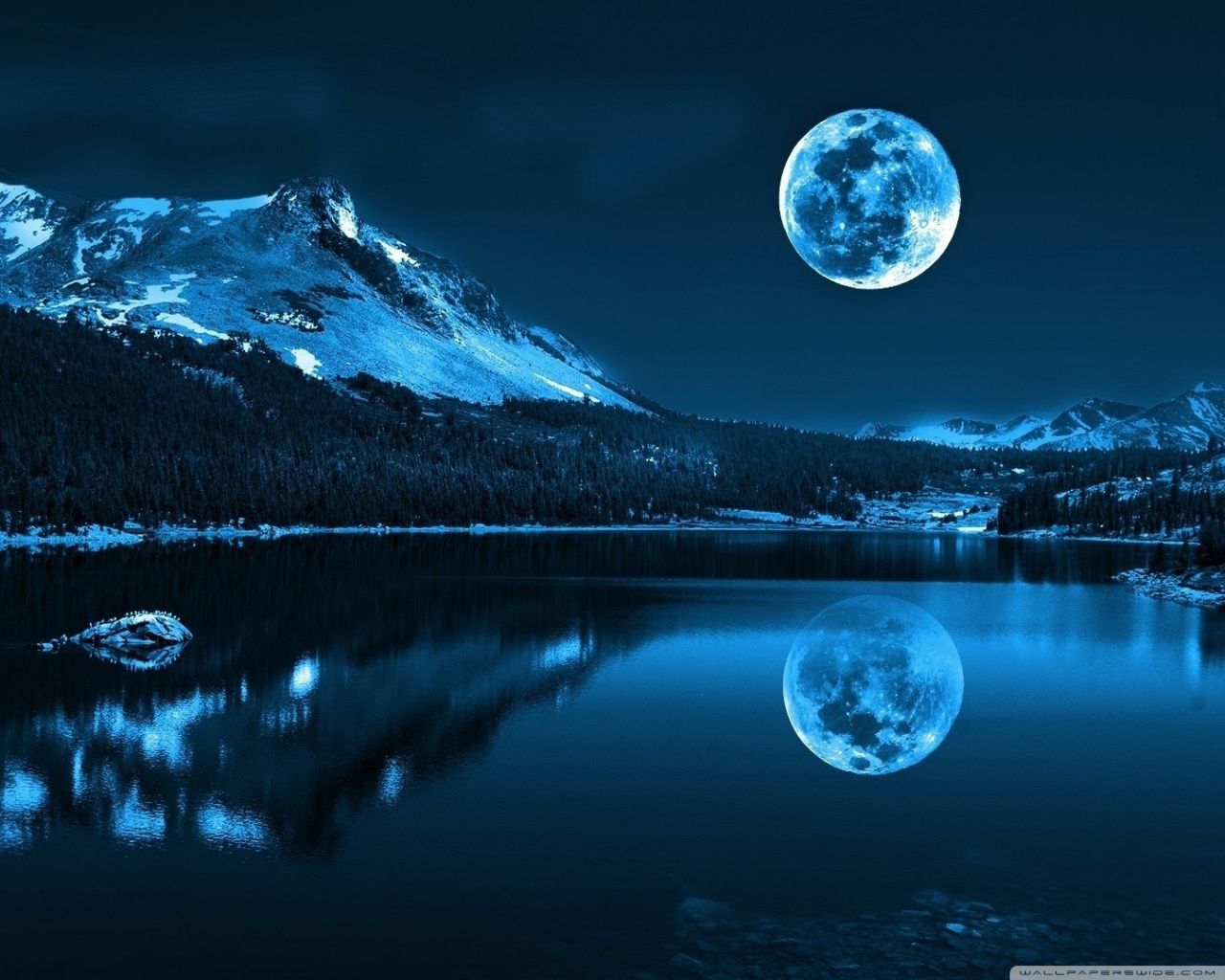 Moonlight Night Ultra HD Desktop Background Wallpaper for 4K UHD