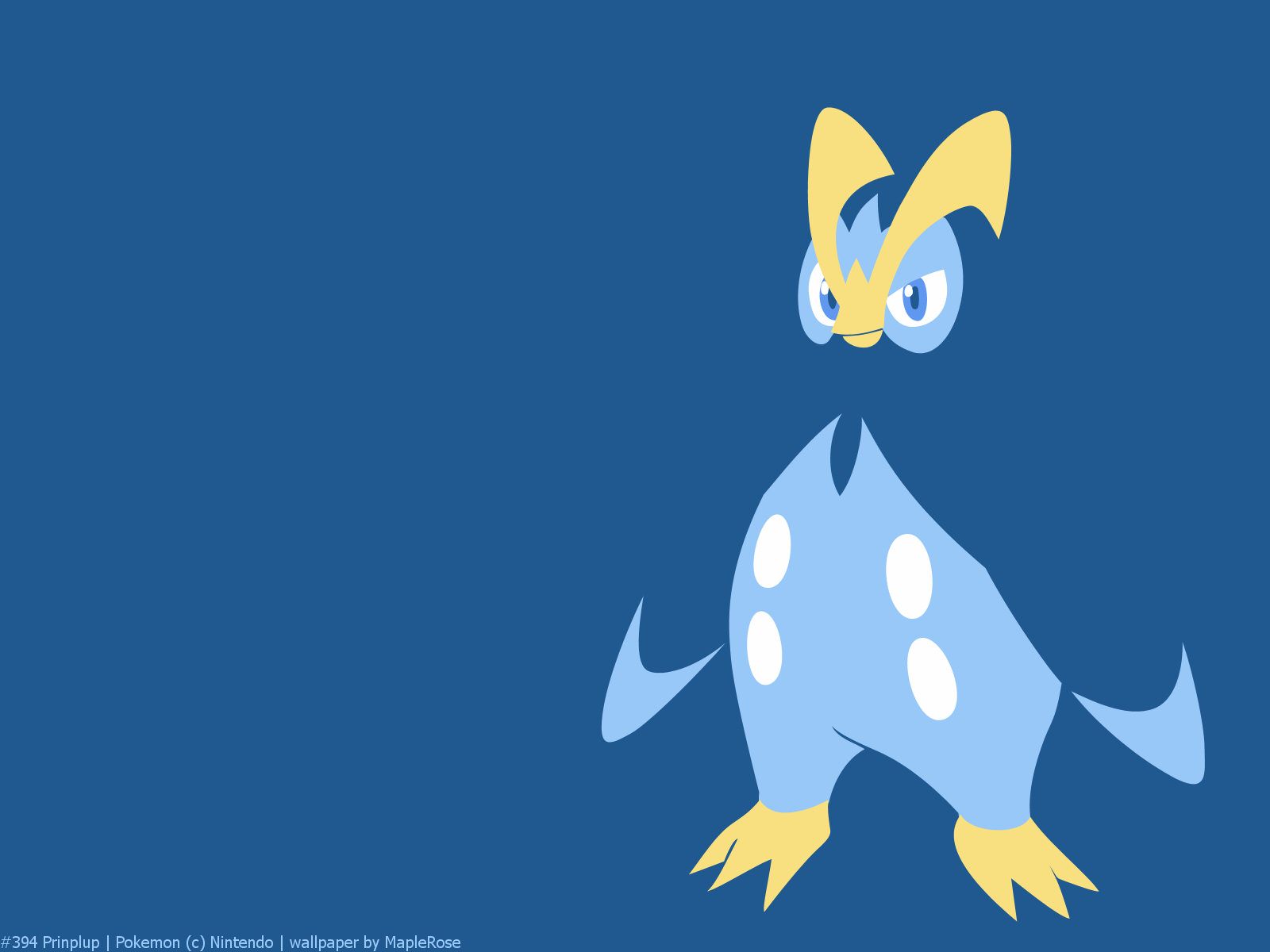 Piplup Wallpaper. Piplup Wallpaper, Piplup Oshawott Wallpaper and Dawn Piplup Wallpaper