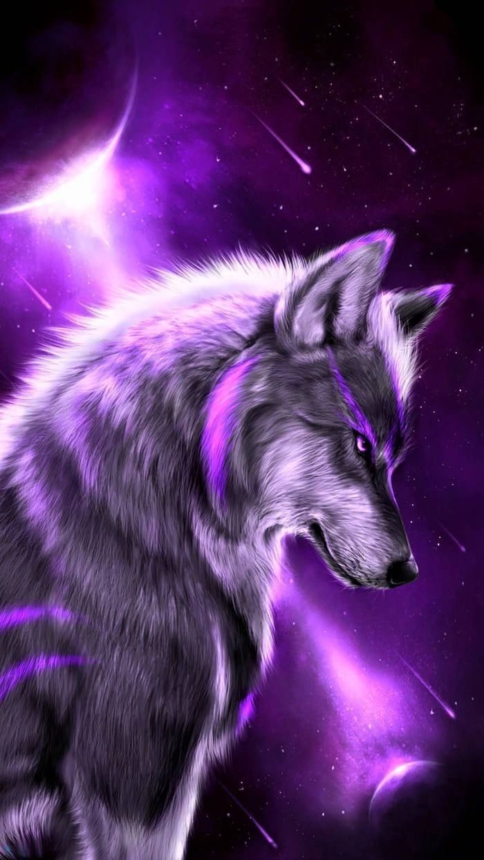 Black And Purple Wolf Wallpaper