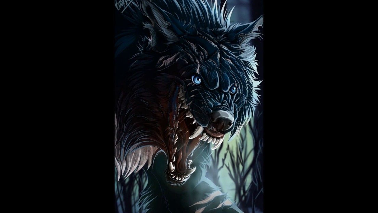 Cool Wolf Wallpaper Background For Boys