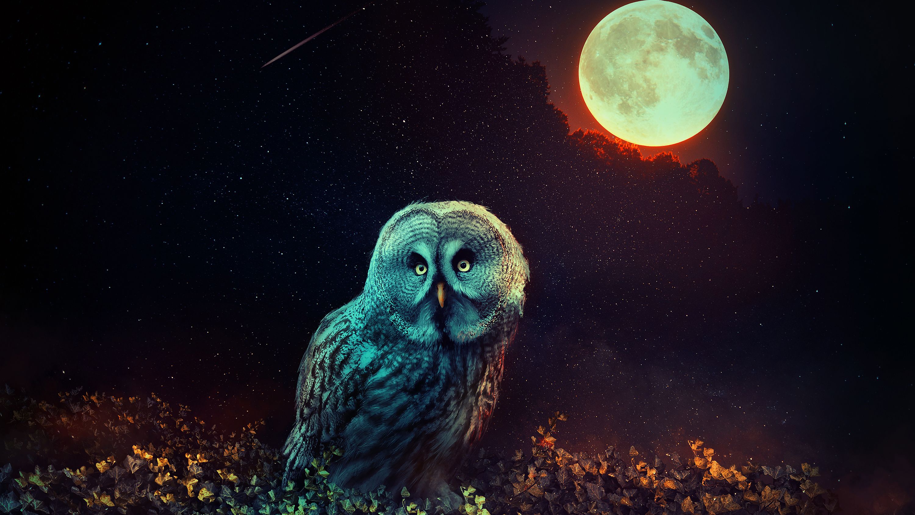 Mystic Owl Wallpaper