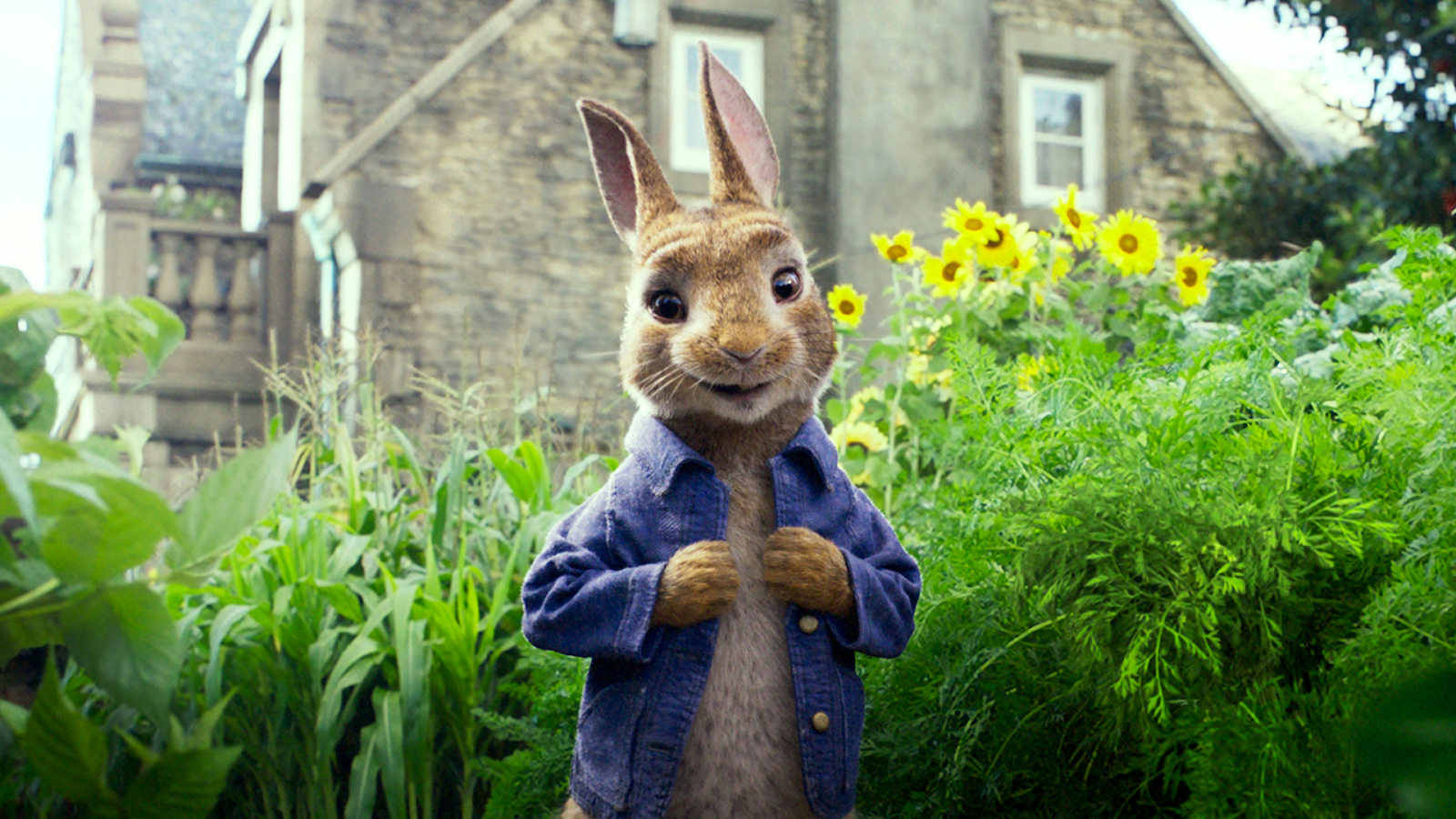 Peter Rabbit 2 Wallpapers - Wallpaper Cave