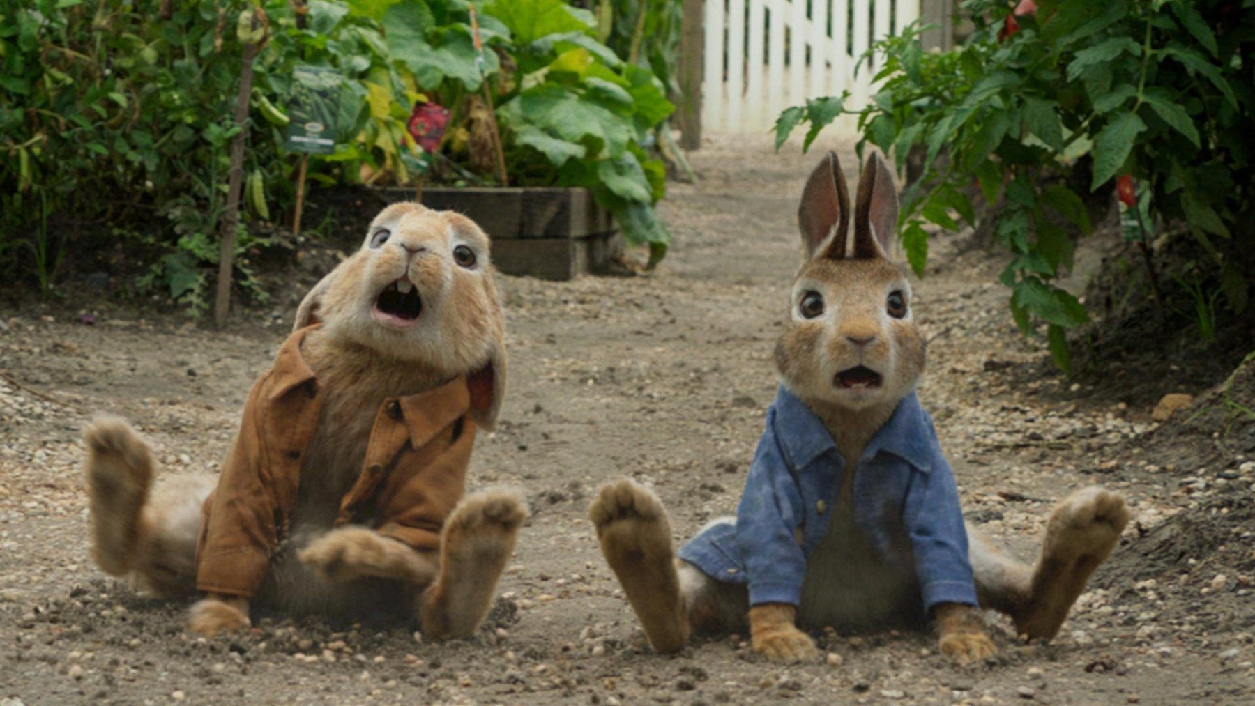 Peter Rabbit 2 Wallpapers - Wallpaper Cave