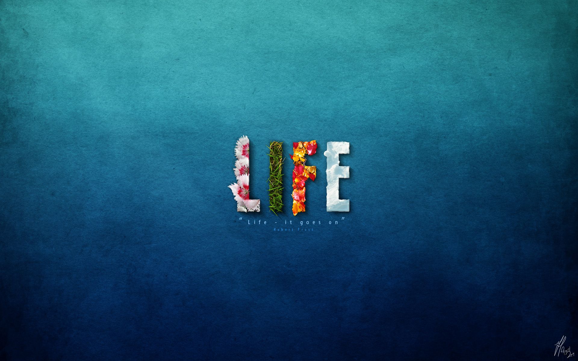 The Wild Side Of Life HD desktop wallpaper, Widescreen