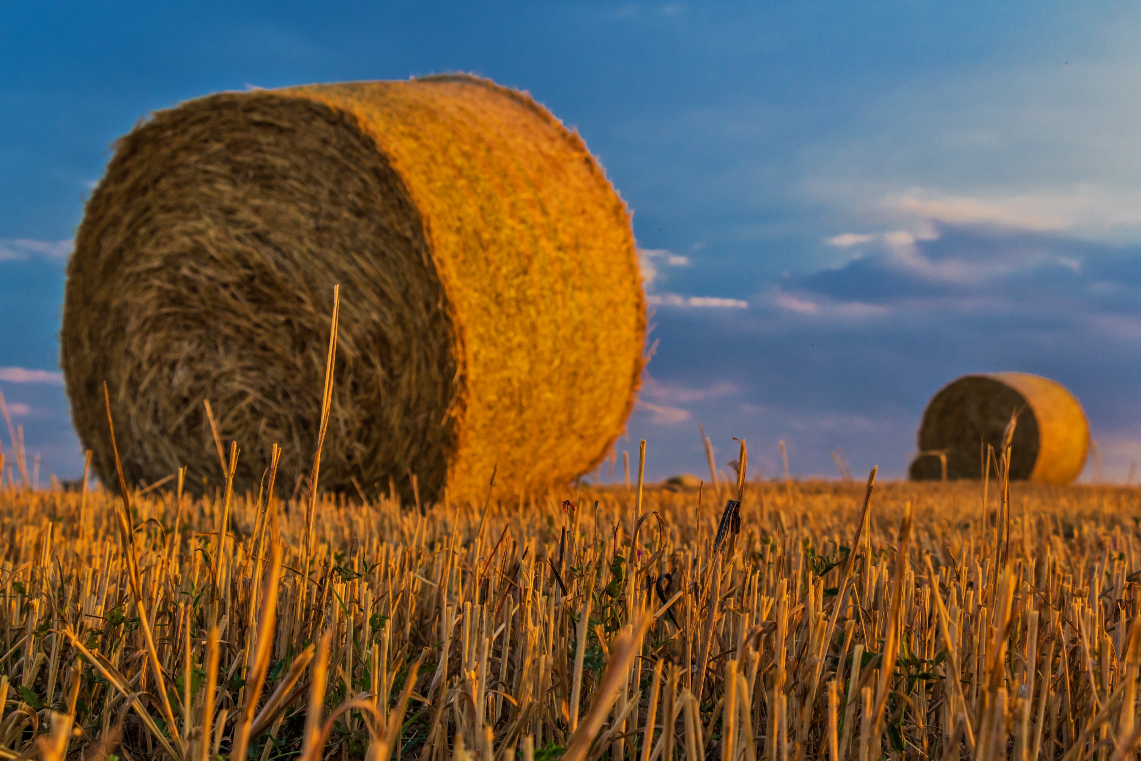 bale #straw #agriculture #harvest #rural landscape 4k wallpaper