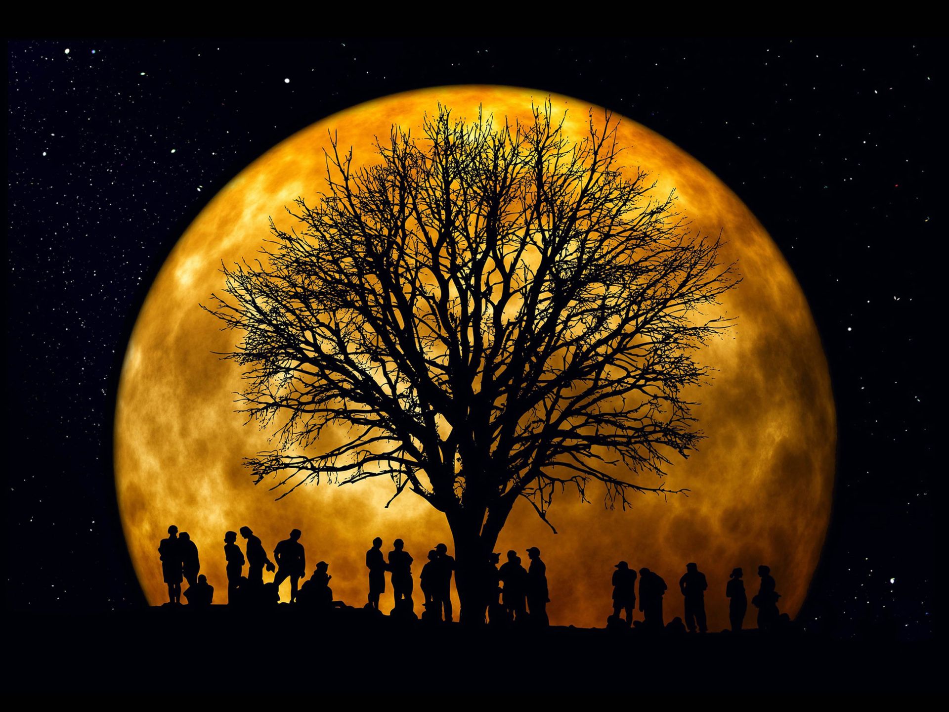 Orange Full Moon Night Star Sky Tree Canopy Branches People HD